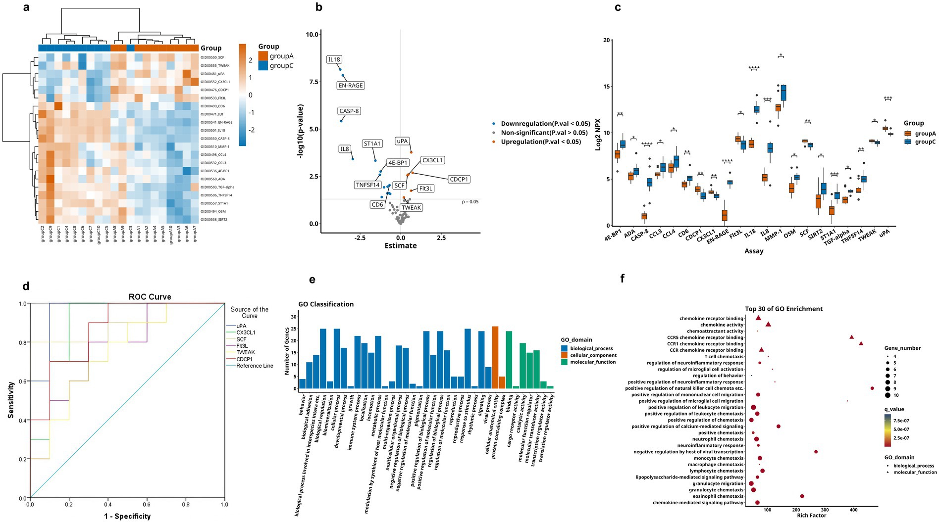 Panel of six scientific graphs analyzing group data: a) Heatmap displays expression levels of genes across two groups, A and C, with color scaling from blue (low) to orange (high).b) Volcano plot visualizes gene expression changes; significant downregulated genes in blue, upregulated in orange.c) Boxplots illustrate assay results comparing log2 NPX values between the groups.d) ROC curve compares sensitivity and specificity for various biomarkers.e) Bar chart categorizes gene ontology (GO) classification into biological process, cellular component, and molecular function domains.f) Bubble chart shows top 30 GO enrichment terms with gene counts and q-values, highlighting biological and molecular functions.