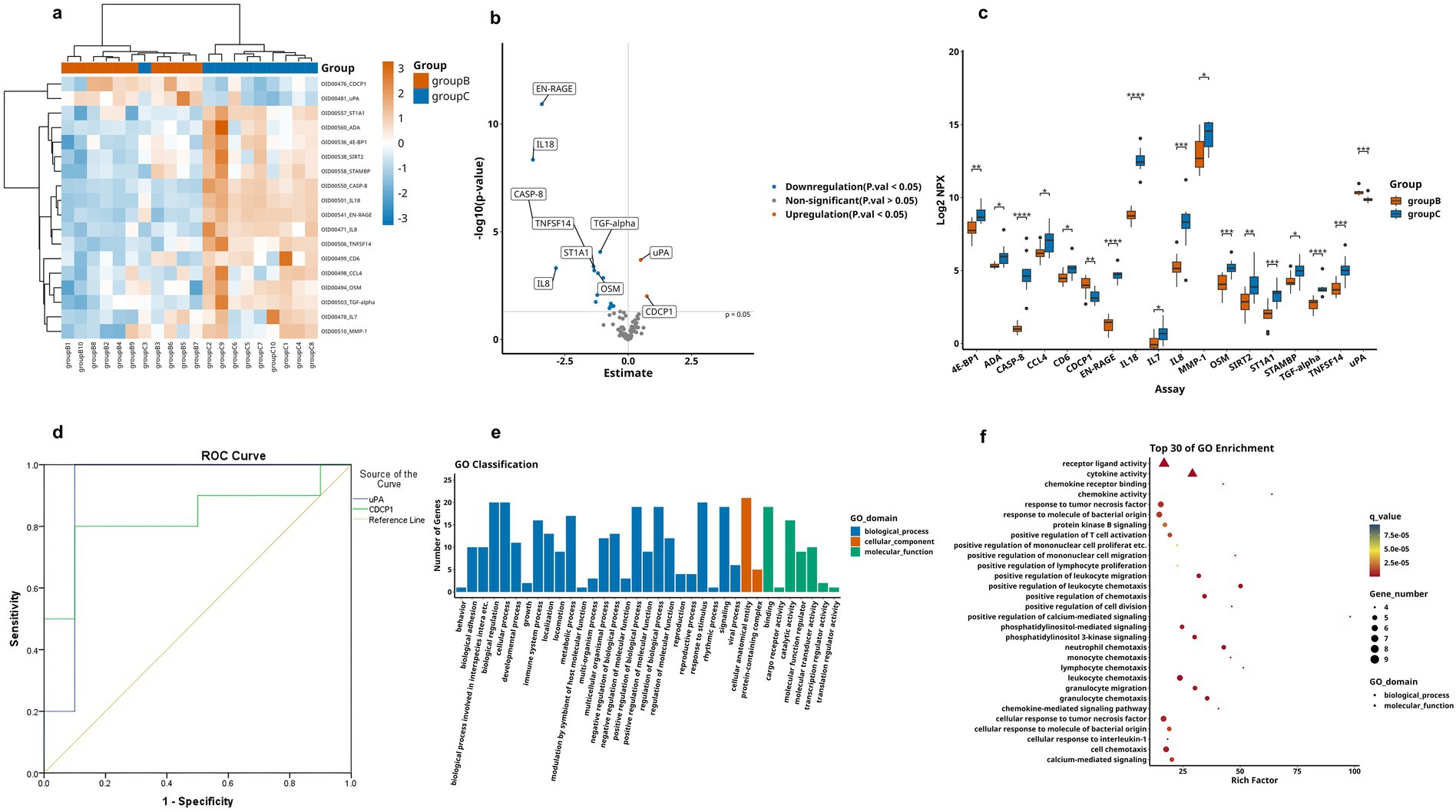 Six-panel figure presenting bioinformatics data related to gene expression and protein activity in different groups.a) Clustered heatmap showing expression levels of genes across samples from group B and C, with a gradient from blue to orange.b) Volcano plot illustrating gene expression changes between groups with EN-RAGE, IL18, and other genes labeled.c) Box plot comparing Log2 NPX values for various assays between groups B and C, with group coloring.d) ROC curve depicting performance of two markers, LPA and CCDC1, with the reference line.e) Bar graph of GO classification by the number of genes across biological processes, cellular components, and molecular functions.f) Dot plot of GO term enrichment highlighting top 30 enriched processes, with dots sized by gene number and colored by q-value.