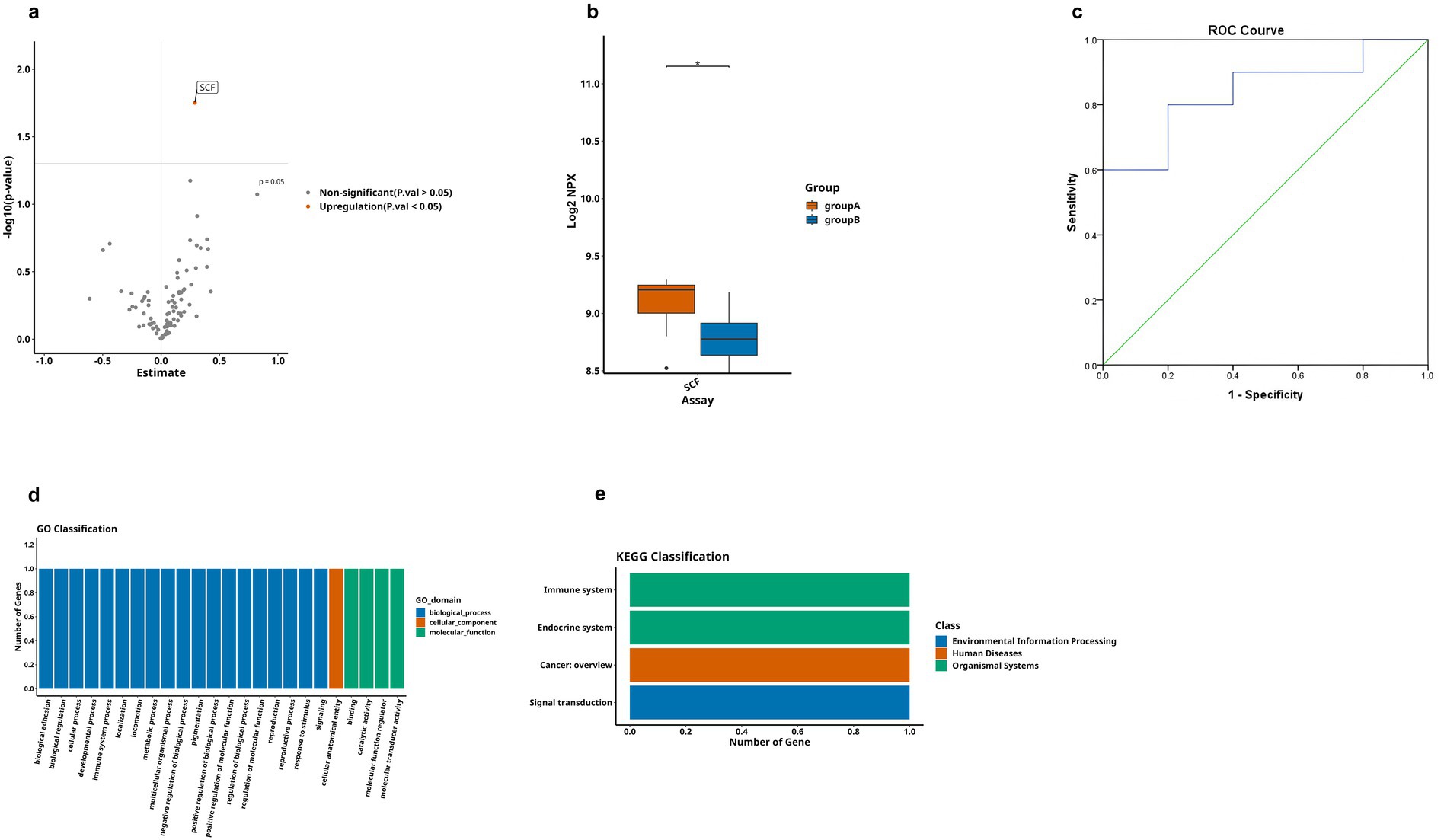 a) Scatter plot of estimates versus negative log p-values, highlighting SCF upregulation. b) Boxplot comparing group A and group B SCF assays, showing a significant difference. c) ROC curve illustrating sensitivity versus 1-specificity. d) Bar chart of GO classification by number of genes across three domains: biological process, cellular component, and molecular function. e) Bar chart of KEGG classification, comparing gene numbers in environmental information processing, human diseases, and organismal systems.