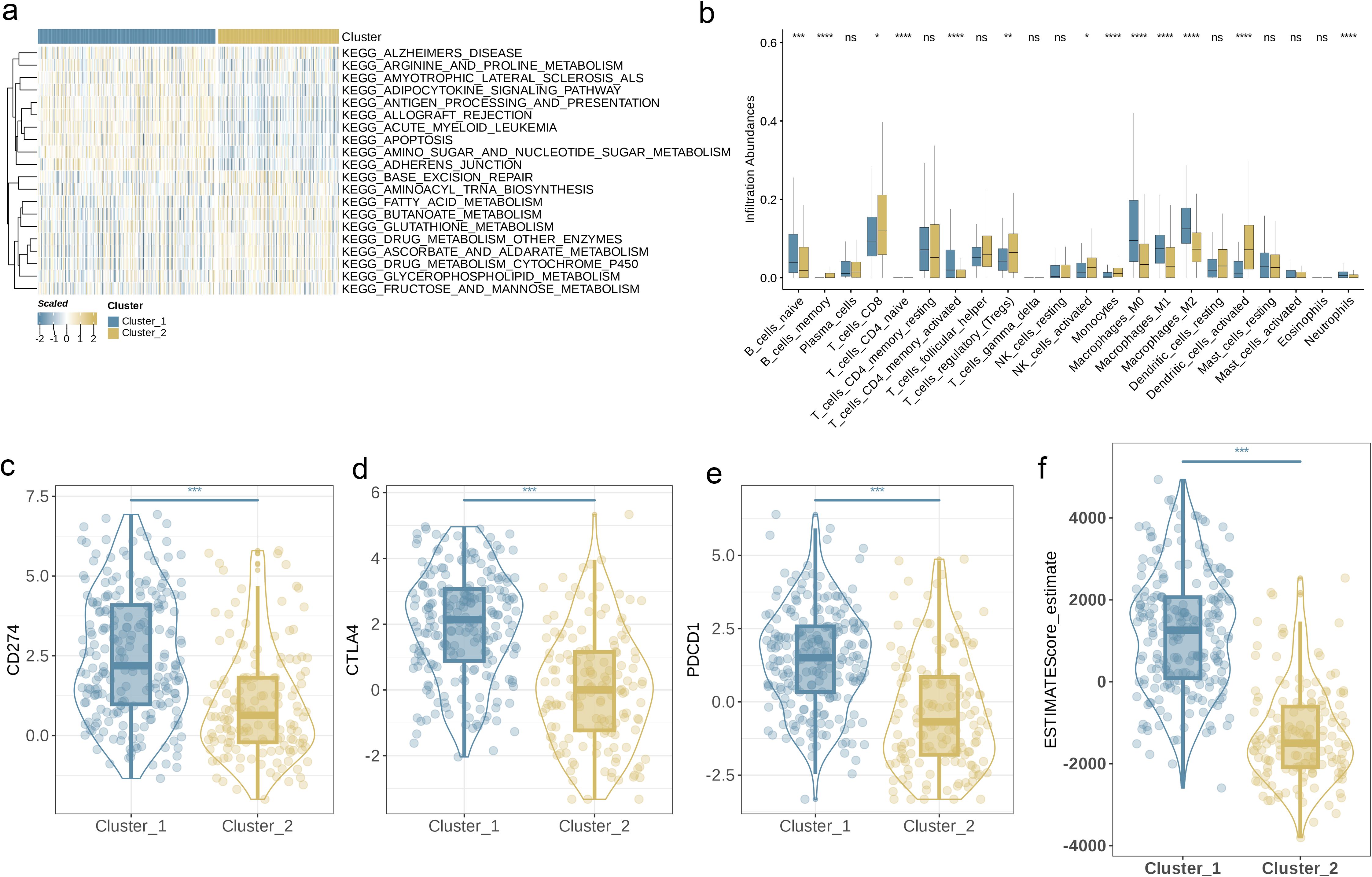 Cluster analysis data presented in multiple panels: a heatmap (panel a) shows gene expression across clusters labeled as Cluster 1 and Cluster 2; bar graph (panel b) depicts infiltration abundances of various immune cells; and violin plots (panels c-f) display expression levels of CD274, CTLA4, PDCD1, and ESTIMATEScore across two clusters, highlighting statistical significance with asterisks.