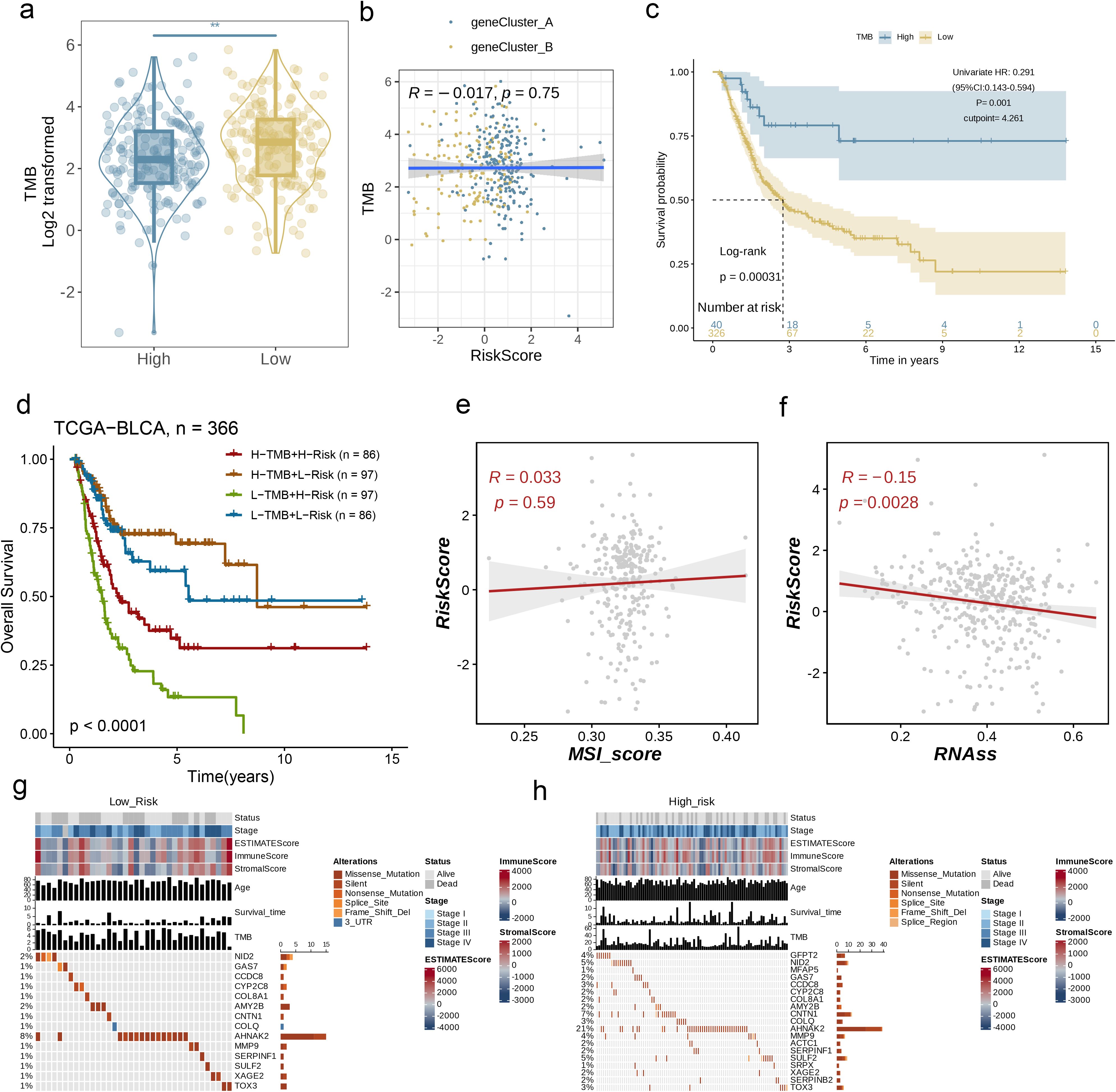 Panel (a) shows a violin plot comparing TMB between high and low groups. Panel (b) has a scatter plot of TMB versus RiskScore, showing no significant correlation. Panel (c) presents a Kaplan-Meier survival curve for high and low TMB groups. Panel (d) displays overall survival curves for different TMB and risk combinations. Panel (e) shows a scatter plot of RiskScore versus MSI_score, with a weak correlation. Panel (f) features RiskScore versus RNAss, indicating a slight negative correlation. Panels (g) and (h) contain heatmaps showing gene mutations, survival status, and immune scores for low and high risk groups.