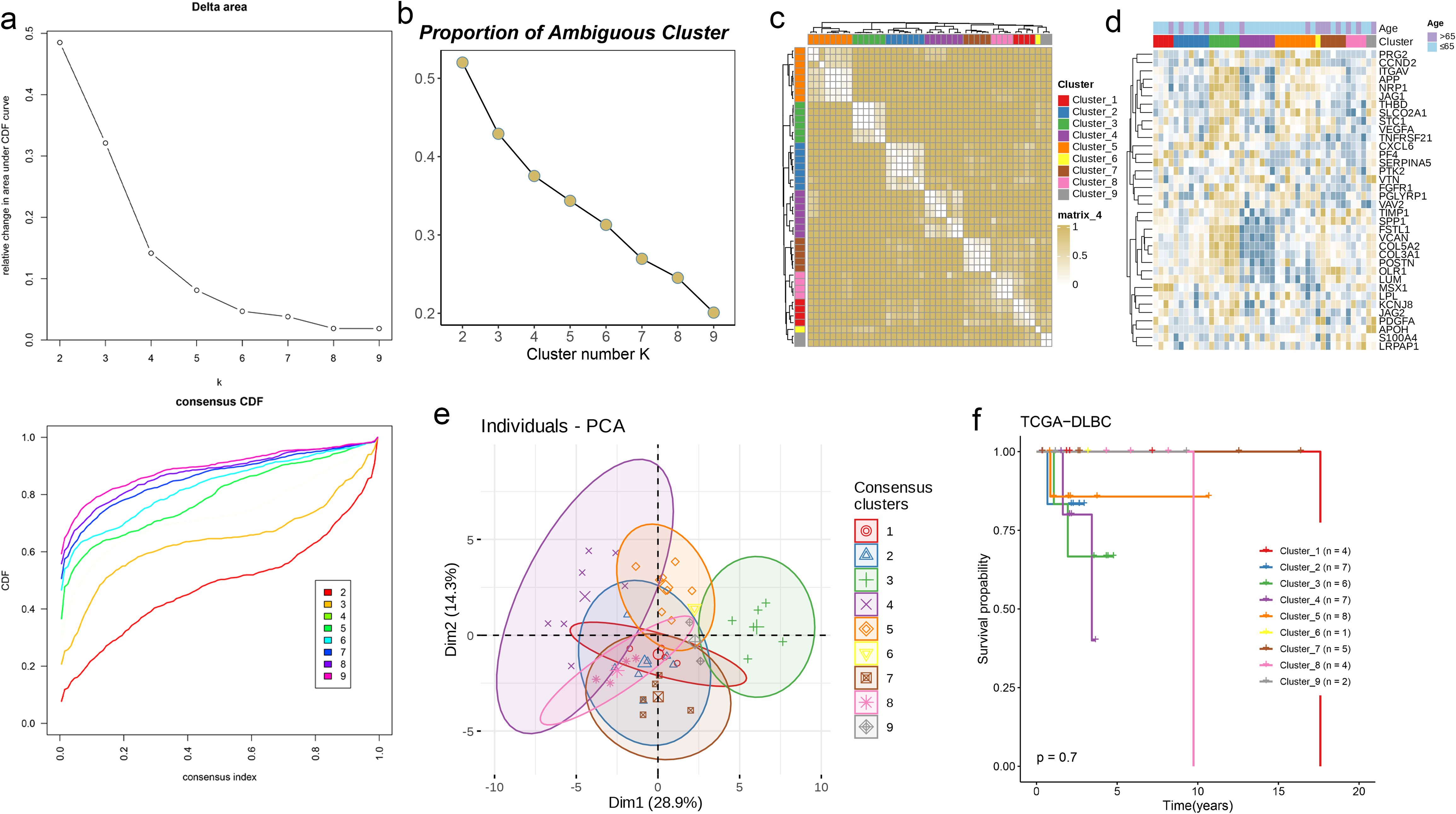 Six-panel data visualization showing clustering analysis results: a) Line chart of delta area with cluster numbers (k) from 2 to 9. b) Line chart showing the proportion of ambiguous clusters by cluster number. c) Heatmap with hierarchical clustering indicating cluster assignments. d) Heatmap of gene expression with age and cluster annotations. e) PCA plot illustrating individuals in consensus clusters with ellipses showing cluster distributions. f) Kaplan-Meier survival curve plot comparing survival probabilities across clusters, with associated p-value of 0.7.