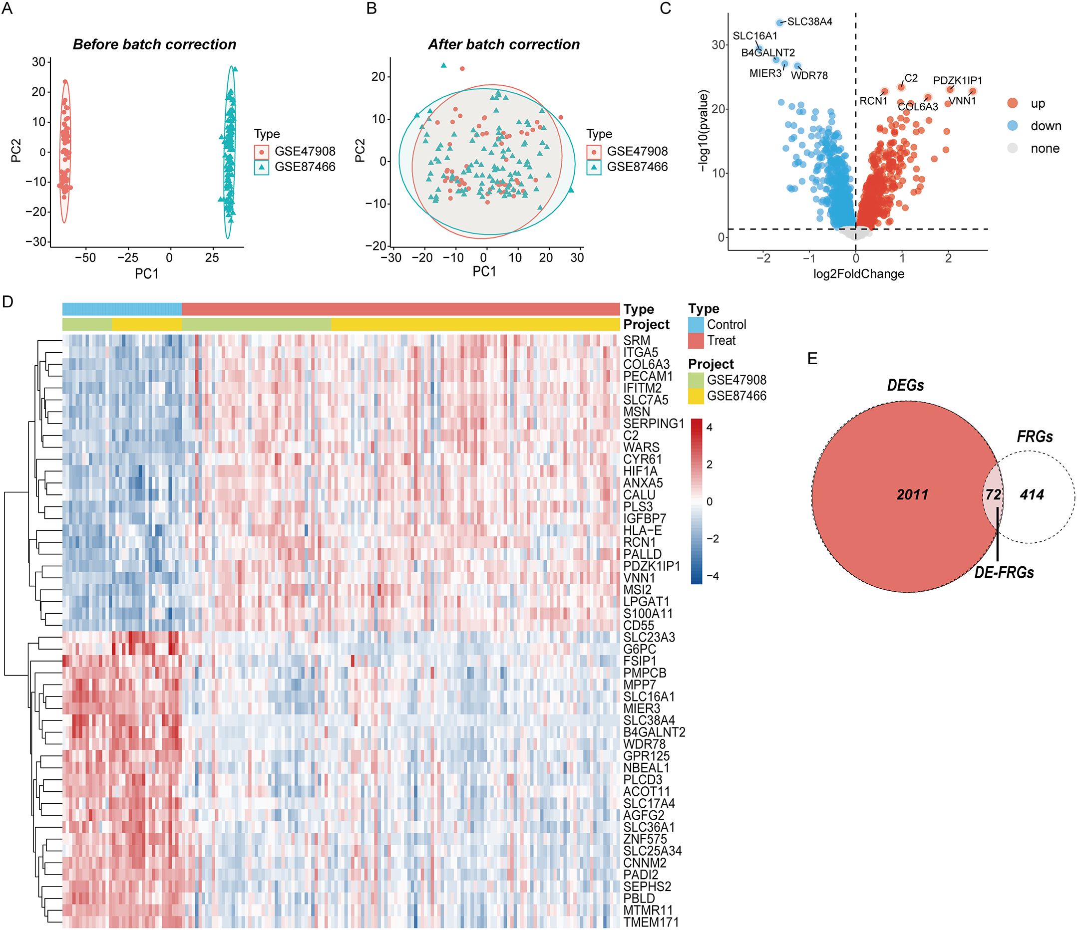 Scatter plots A and B show sample clustering before and after batch correction, respectively. Plot C is a volcano plot displaying gene expression changes, highlighting upregulated, downregulated, and unchanged genes. Heatmap D presents gene expression across two projects with varying expression levels. Diagram E is a Venn diagram showing overlap between DEGs, FRGs, and DE-FRGs.