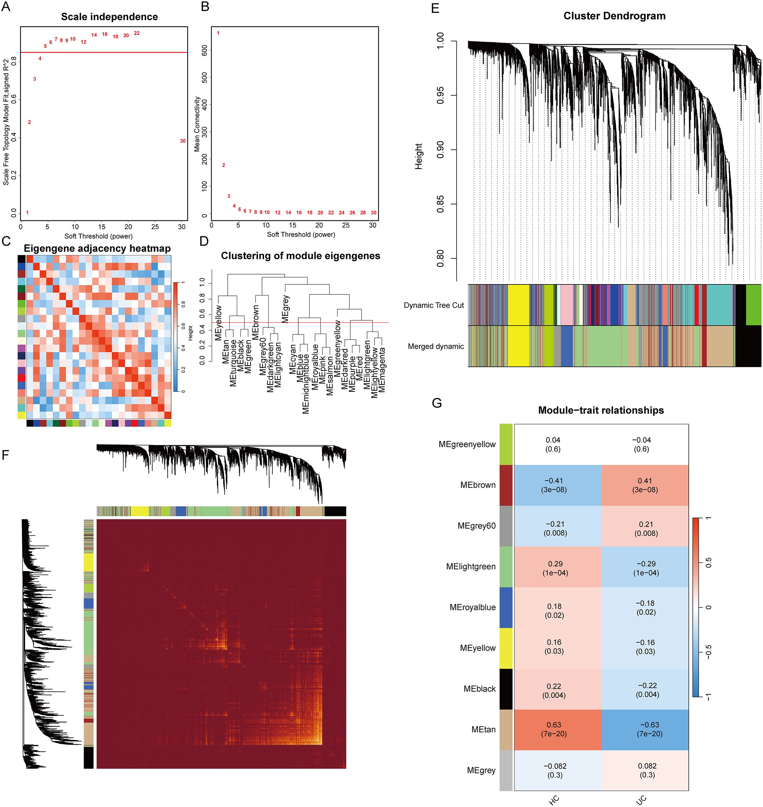 Composite image showing multiple panels: A and B display line plots for scale independence and mean connectivity against soft threshold power. C is a heatmap of eigengene adjacency. D shows a dendrogram clustering module eigengenes. E is a cluster dendrogram with color-coded dynamic tree cuts. F is a heatmap with a module-trait relationship color bar. G is a table of module-trait relationships with correlation coefficients and p-values, highlighting significant interactions.
