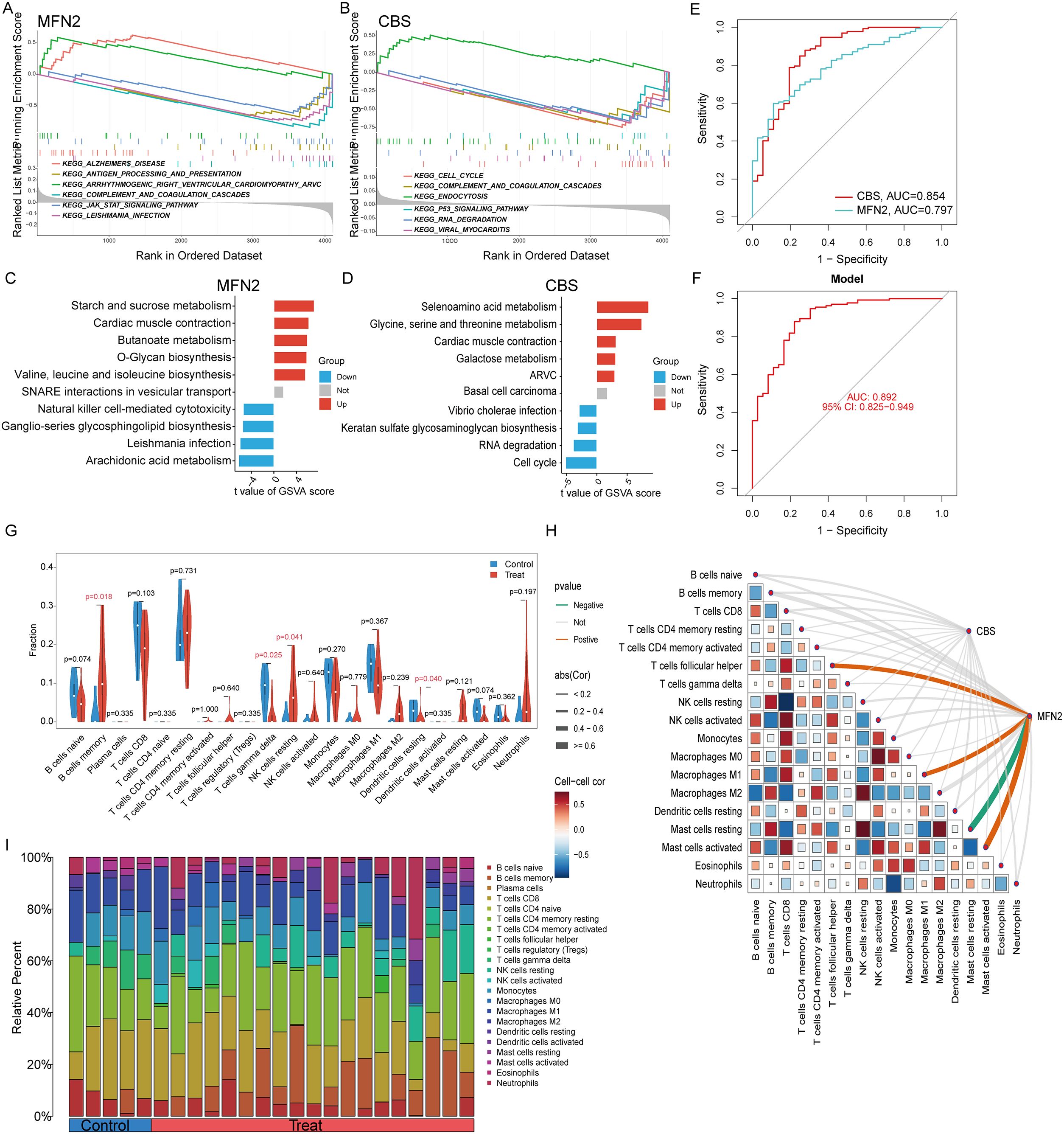 Graphs and charts analyze MFN2 and CBS in various biological and metabolic pathways. Panels A and B show enrichment scores. C and D are bar graphs depicting t-values of GSVA scores. E and F are ROC curves showing sensitivity and specificity with associated AUC values. G presents violin plots comparing Control and Treat groups across cell types. H includes a correlation matrix of immune cells with CBS and MFN2. I is a stacked bar chart showing relative percentages of different cell types between Control and Treat conditions.