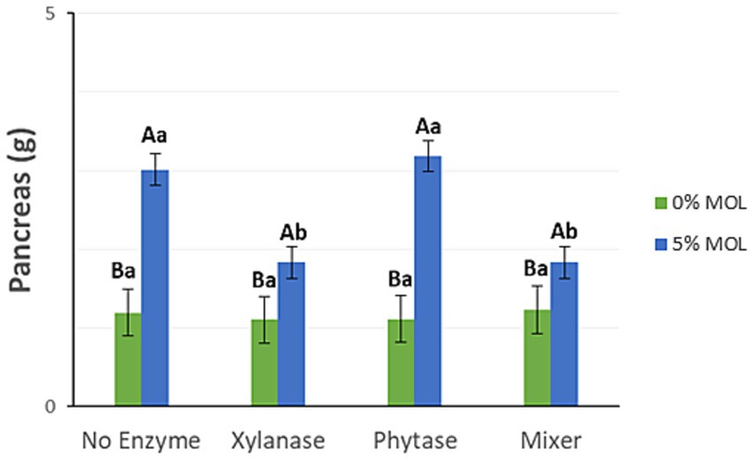 Bar chart showing the pancreas weight in grams for different enzyme treatments: No Enzyme, Xylanase, Phytase, and Mixer. Two groups are compared, 0% MOL (green bars) and 5% MOL (blue bars), with 5% MOL consistently having higher weights. Error bars are present.