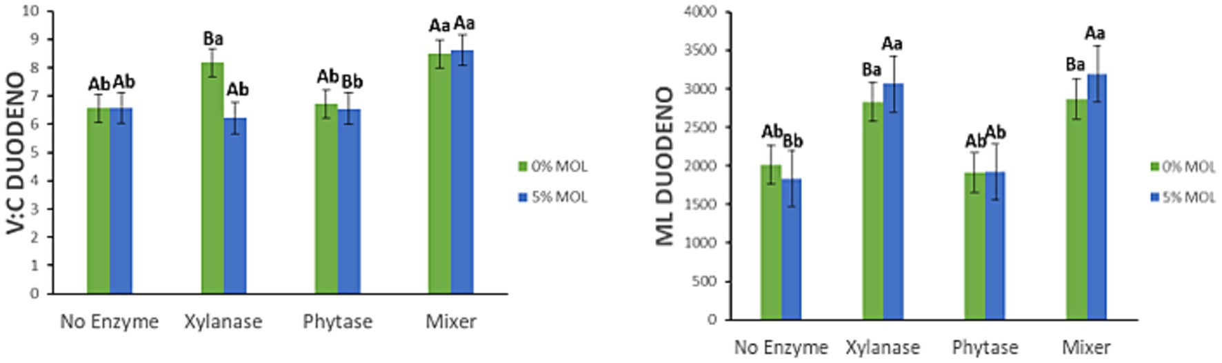 Two bar charts compare V:C duodeno and ML duodeno among four enzyme treatments: No Enzyme, Xylanase, Phytase, and Mixer, with 0% MOL (green) and 5% MOL (blue). Error bars indicate variability, and groups are labeled with statistical significance markers.