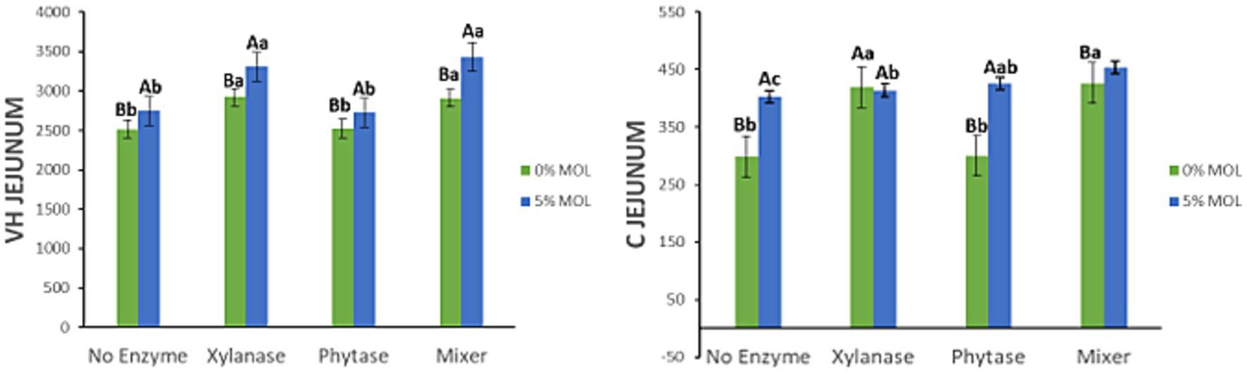 Bar graphs comparing the effects of different enzyme treatments (No Enzyme, Xylanase, Phytase, Mixer) on VH Jejunum and C Jejunum measurements, with data for 0% MOL in green and 5% MOL in blue. Error bars indicate variability, and measurements are labeled with statistical markers (Aa, Bb, etc.).