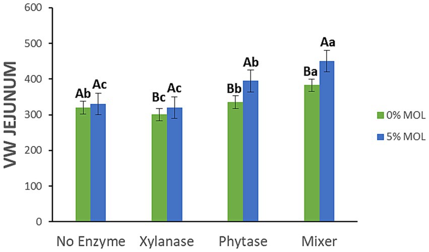 Bar graph comparing jejunum measurements for four conditions: No Enzyme, Xylanase, Phytase, and Mixer. Each condition has two bars, green for zero percent MOL and blue for five percent MOL. Error bars and labels indicate variations: No Enzyme (Ab, Ac), Xylanase (Bc, Ac), Phytase (Bb, Ab), Mixer (Ba, Aa).