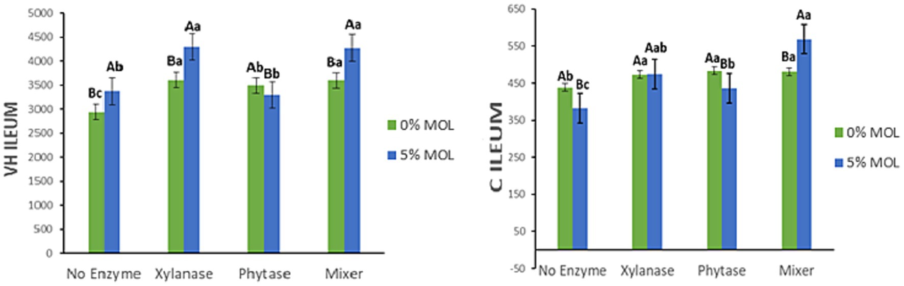 Bar charts showing VH and C ileum measurements with two enzyme levels, 0% and 5% MOL, represented in green and blue bars respectively. The left chart, VH ileum, displays four categories: No Enzyme, Xylanase, Phytase, and Mixer, with heights ranging from 3000 to 4500. The right chart, C ileum, features the same categories with values between 350 and 550. Error bars and labels indicate statistical differences.
