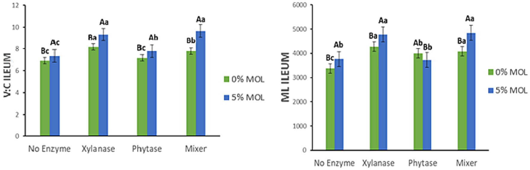 Bar charts comparing the effects of enzyme treatments (No Enzyme, Xylanase, Phytase, Mixer) on two metrics: V:C Ileum and ML Ileum. Each treatment has two bars for 0% MOL (green) and 5% MOL (blue). Error bars represent variability, with various letter annotations indicating statistical groupings.