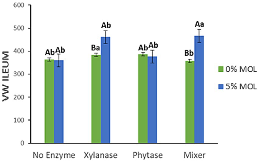 Bar chart showing VW Ileum measurements comparing 0% MOL (green) and 5% MOL (blue) across four conditions: No Enzyme, Xylanase, Phytase, and Mixer. Each condition has labeled statistical significance with error bars, with the highest values in the Mixer condition.