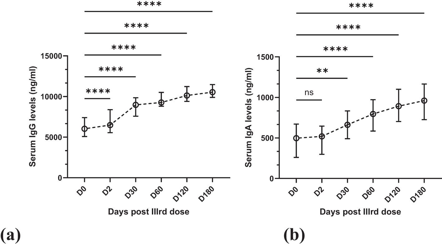 Line graphs presenting serum IgG and IgA levels over time post-third dose. Graph (a) shows IgG levels increasing significantly, with multiple statistical markers for significance at different intervals. Graph (b) displays IgA levels rising over time, with varying significance markers. Error bars represent standard deviation.