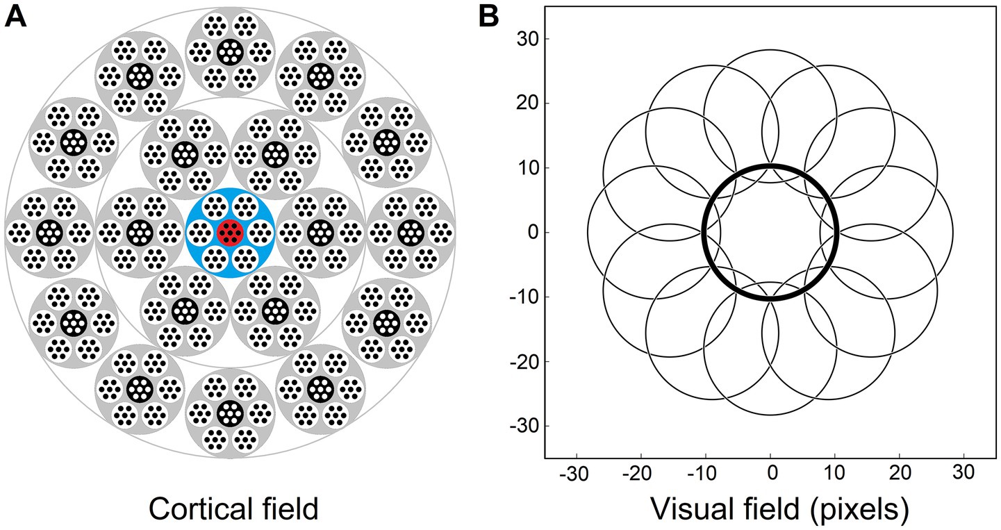Two diagrams labeled A and B. Diagram A depicts a circular pattern representing a cortical field with nested circles of dots, some highlighted in blue and red at the center. Diagram B shows overlapping circles illustrating a visual field with axes labeled in pixels ranging from -30 to 30.