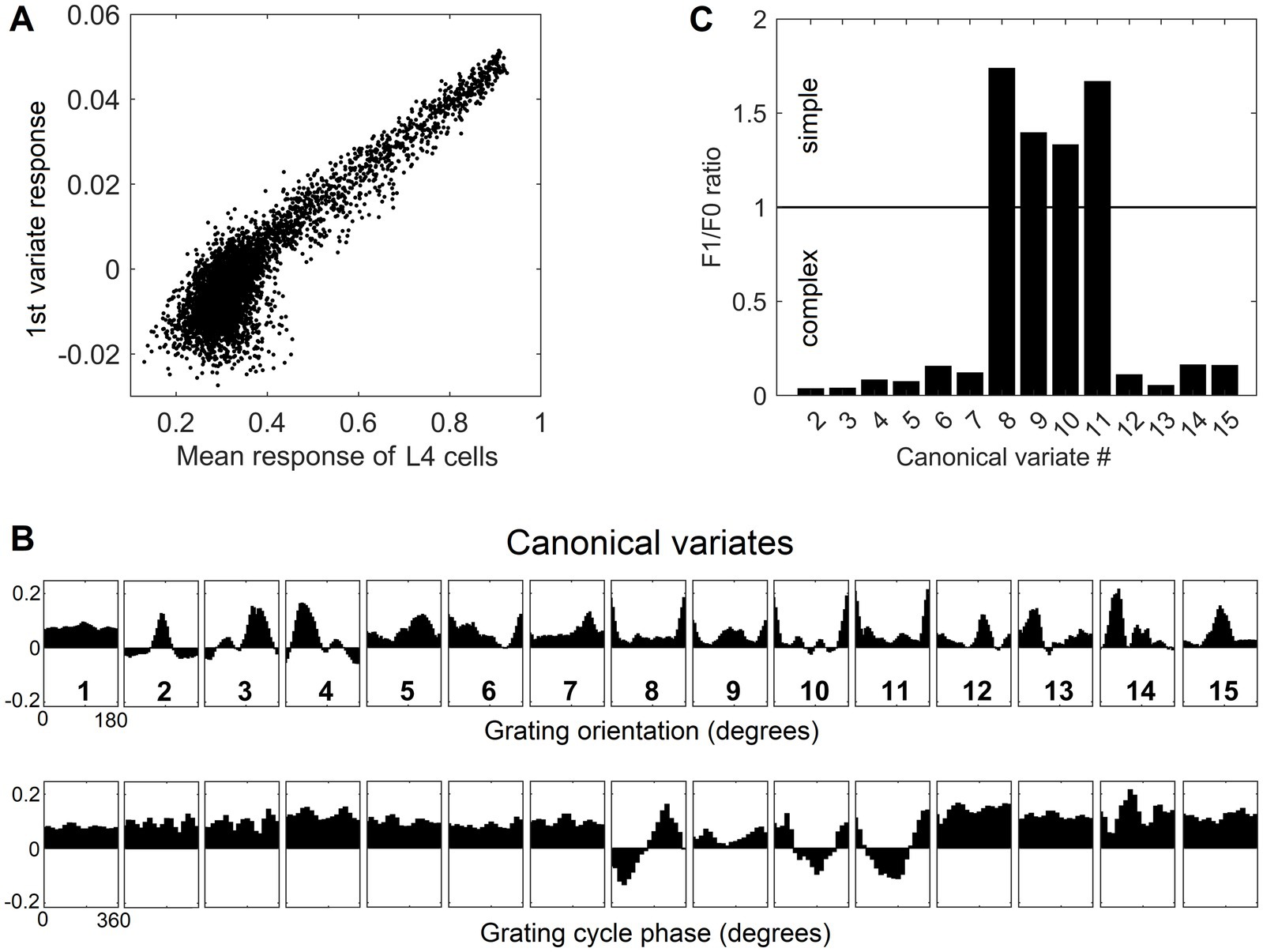 Panel A shows a scatter plot of the first variate response against the mean response of FL4 cells, indicating a positive correlation. Panel B displays a bar chart of F1/F0 ratios for canonical variates, distinguishing between simple and complex types. Panel C consists of histograms for 15 canonical variates, showing response patterns across grating orientations and cycle phases in degrees.