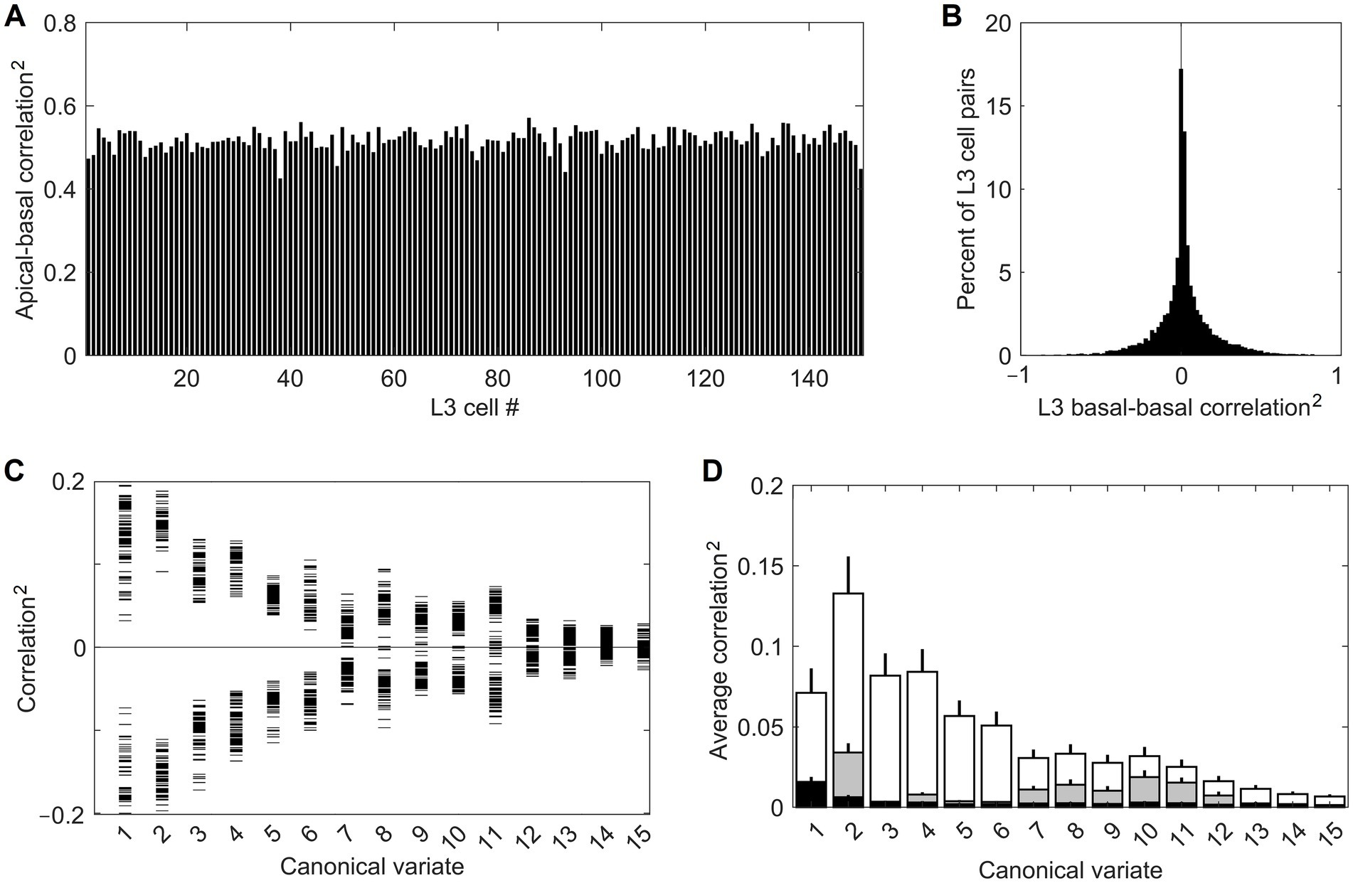 Four graphs showing statistical data:A. Bar graph of apical-basal correlation squared for L3 cells, ranging mostly between 0.4 and 0.6. B. Histogram of L3 basal-basal correlation squared, centered around zero with a peak at 0%. C. Scatter plot of correlation squared values against canonical variates one to fifteen, showing a diverse range of values. D. Bar graph of average correlation squared over canonical variates, with a decreasing trend.Each graph illustrates correlations relevant to L3 cells.