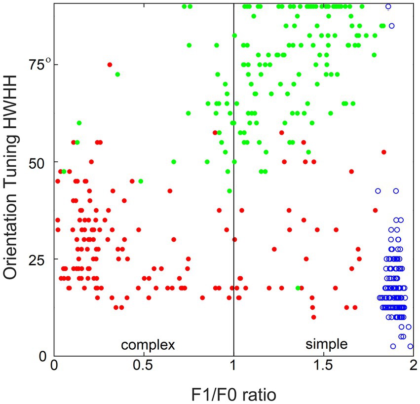Scatter plot showing orientation tuning half-width at half-height (HWHH) versus F1/F0 ratio. Points are color-coded: red for complex cells, blue for simple cells, and green for another type. Complex cells cluster on the left with lower F1/F0 ratios, while simple cells appear on the right with higher ratios.