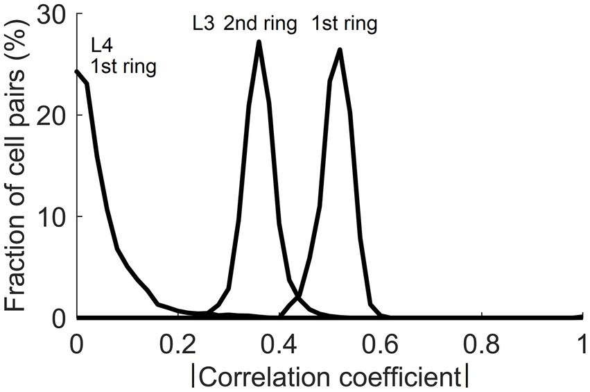 Graph showing the fraction of cell pairs versus the absolute correlation coefficient. It includes three peaks labeled L4 1st ring, L3 2nd ring, and L3 1st ring, peaking at different coefficients. The y-axis ranges from 0 to 30 percent, and the x-axis ranges from 0 to 1.