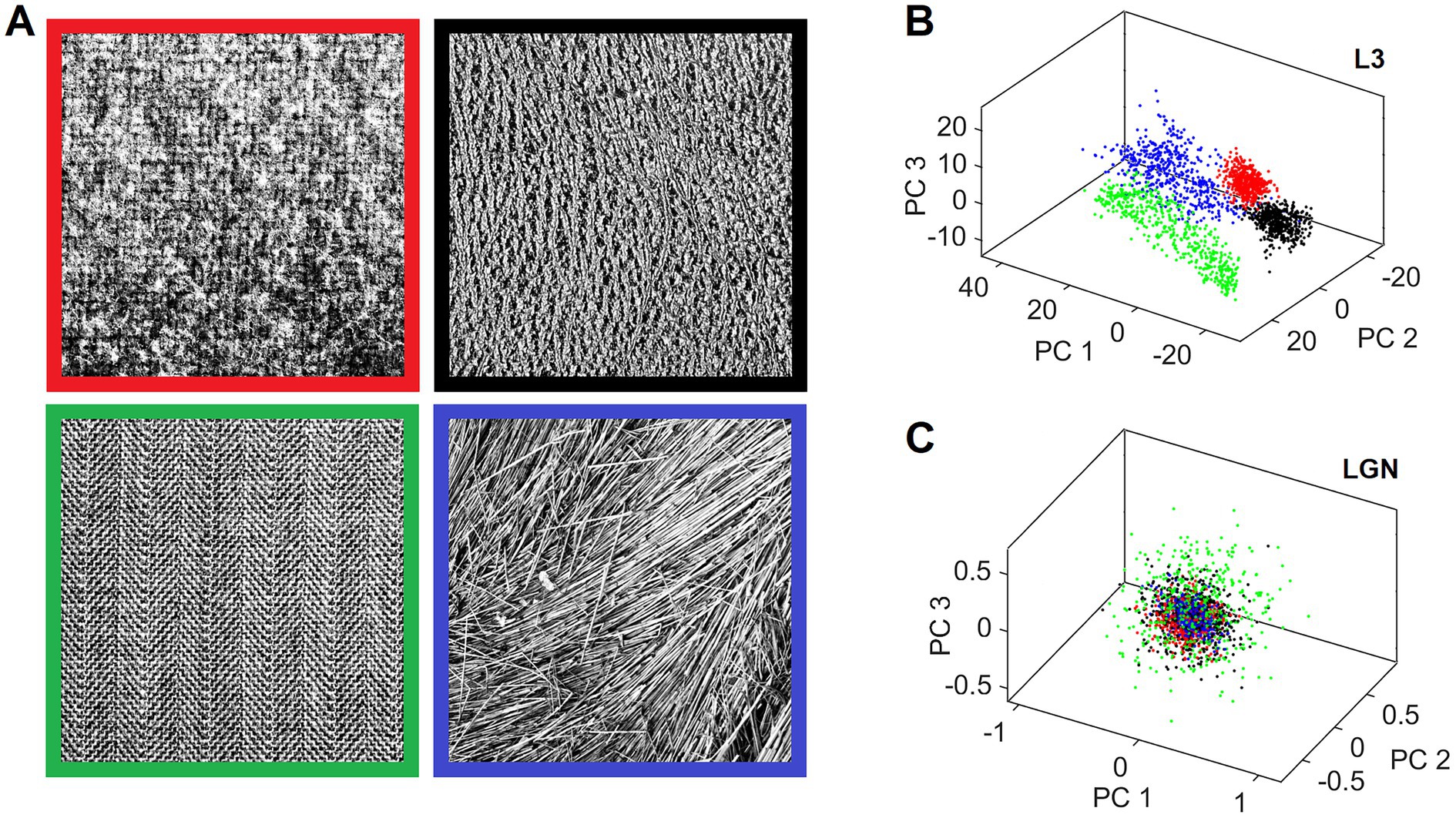 Panel A displays four grayscale texture patterns with different border colors: red, black, green, and blue. Panel B is a 3D scatter plot labeled