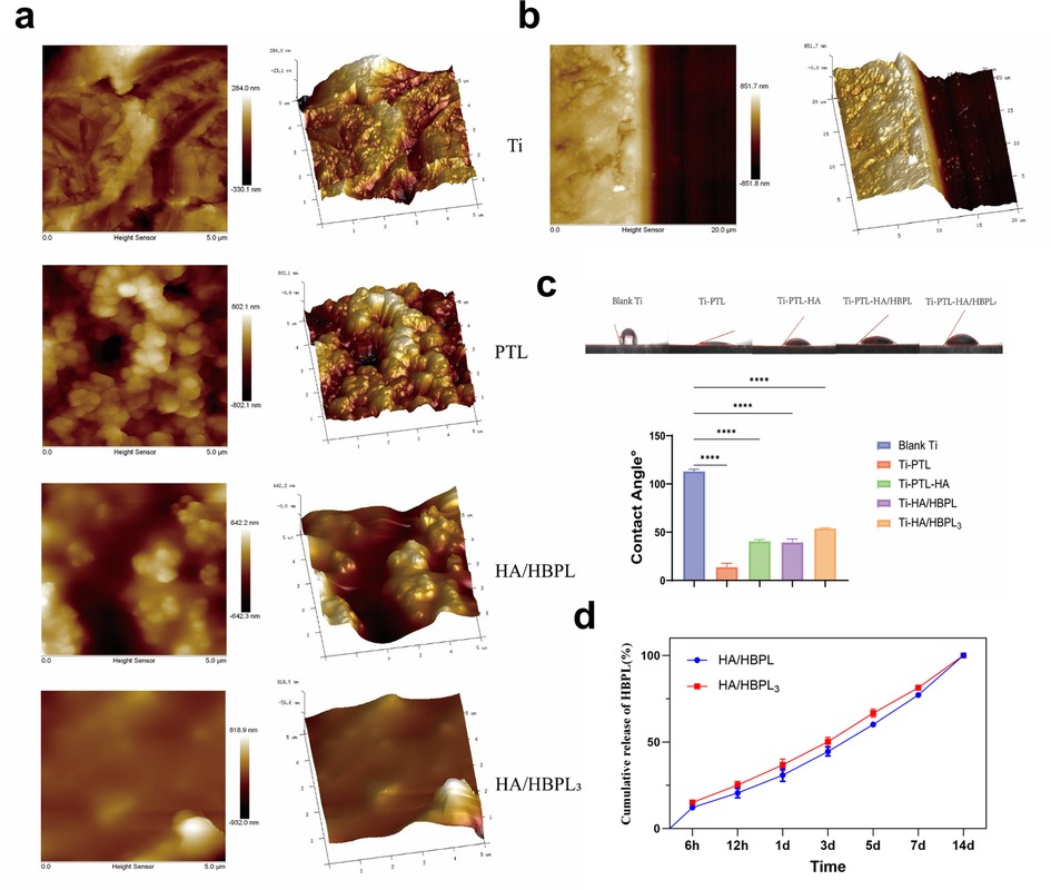 Group of images including:\n\n(a) Surface topography of Ti, PTL, HA/HBPL, and HA/HBPL₃ substrates shown in both 2D and 3D atomic force microscopy (AFM) images displaying varied surface morphologies.\n\n(b) AFM images of Ti coated with PTL and a composite coating in 2D and 3D.\n\n(c) Bar chart and droplet images illustrating contact angles on different substrate surfaces, indicating significant differences in hydrophilicity.\n\n(d) Line graph showing cumulative release of HBPL over time for HA/HBPL and HA/HBPL₃, indicating trends in release percentages over 14 days.