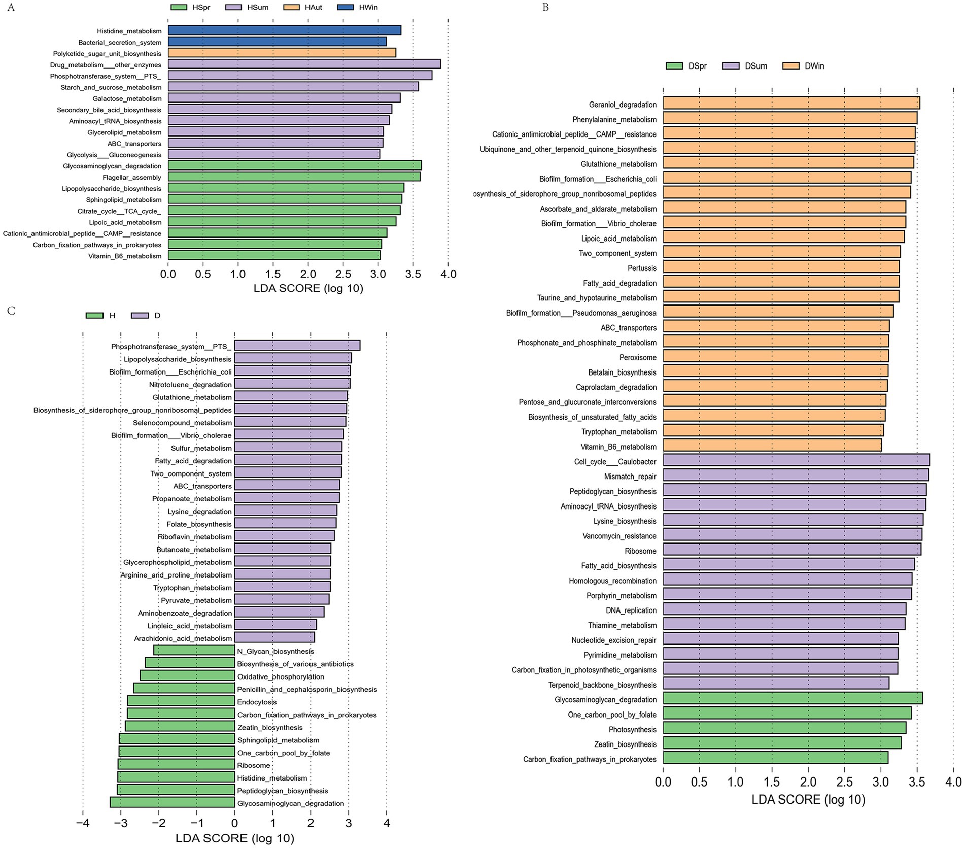 Three bar charts analyzing pathways with the highest LDA scores. Chart A highlights different pathways such as histidine metabolism and bacterial secretion, categorized by colors for strains HBSp, HSum, HAut, and HWin. Chart B shows pathways like geraniol degradation and phenylalanine metabolism, with categories DSpr, DSum, and DWin. Chart C compares pathways for strains H and D, including phosphotransferase system and lipopolysaccharide biosynthesis. Each bar represents an LDA score on a logarithmic scale, reflecting the significance of each pathway.