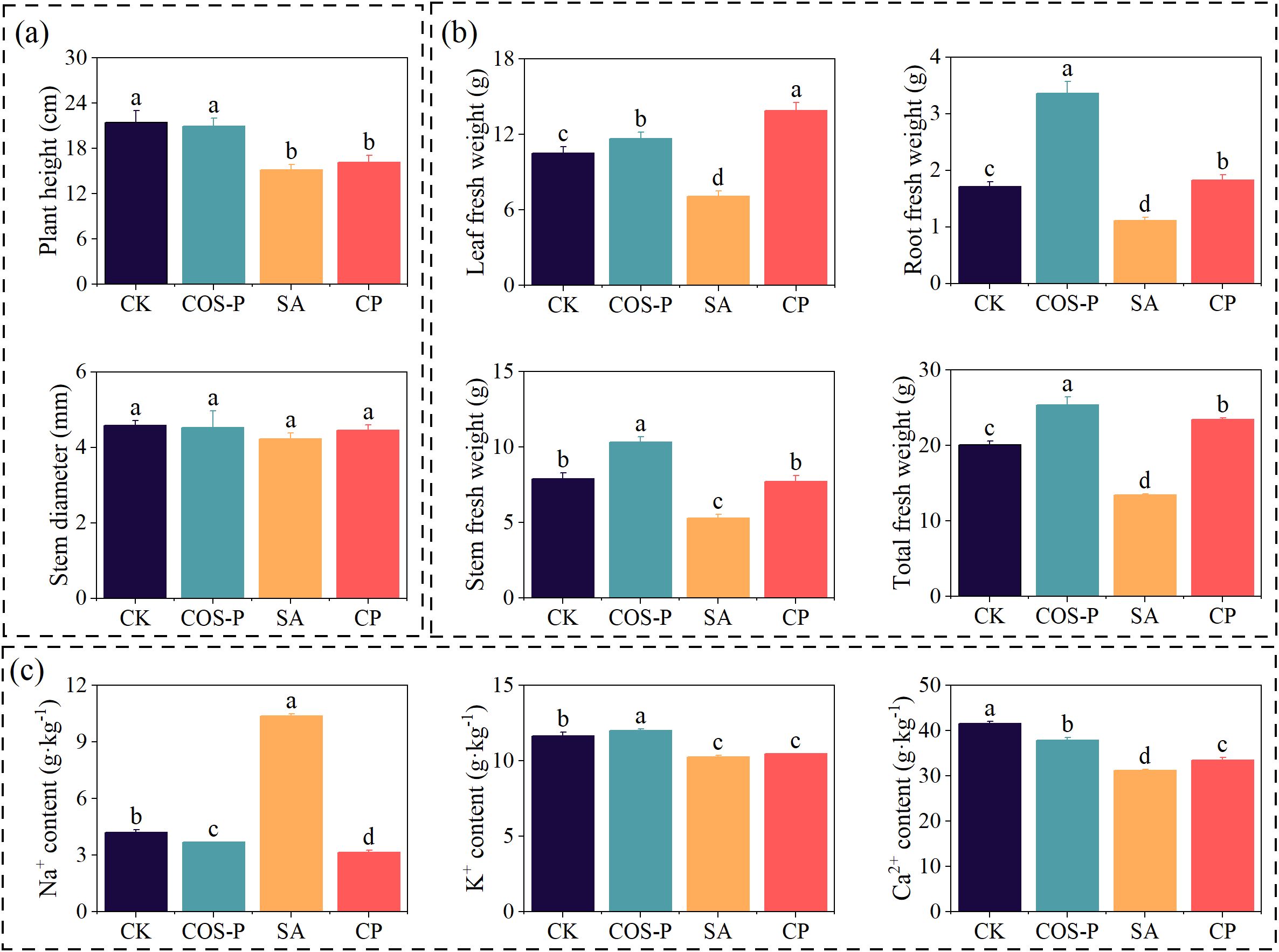 Bar charts comparing various plant growth parameters and mineral contents across four treatments: CK, COS-P, SA, and CP. Metrics include plant height, leaf and root fresh weight, stem diameter, and total fresh weight. Mineral contents measured are sodium, potassium, and calcium. Letters (a, b, c, d) indicate statistical differences between treatments.