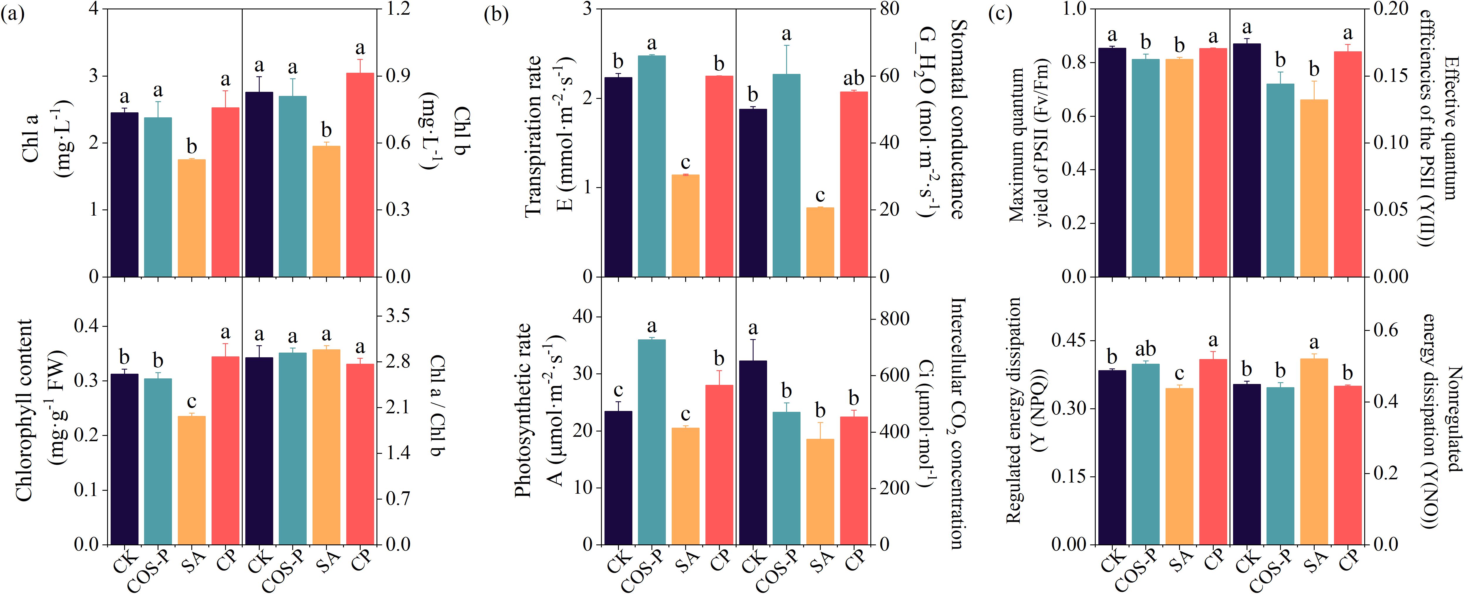 Bar graphs display various plant biochemical and physiological parameters under different treatments labeled CK, COS-P, SA, and CP. Panel (a) shows chlorophyll a, chlorophyll b, and chlorophyll content. Panel (b) includes transpiration rate, photosynthetic rate, stomatal conductance, and intercellular CO2 concentration. Panel (c) presents maximum quantum yield of PSII, effective quantum efficiencies of PSII, regulated energy dissipation, and nonregulated energy dissipation. Standard error bars and statistical groupings (a, b, c) are included for each data set.