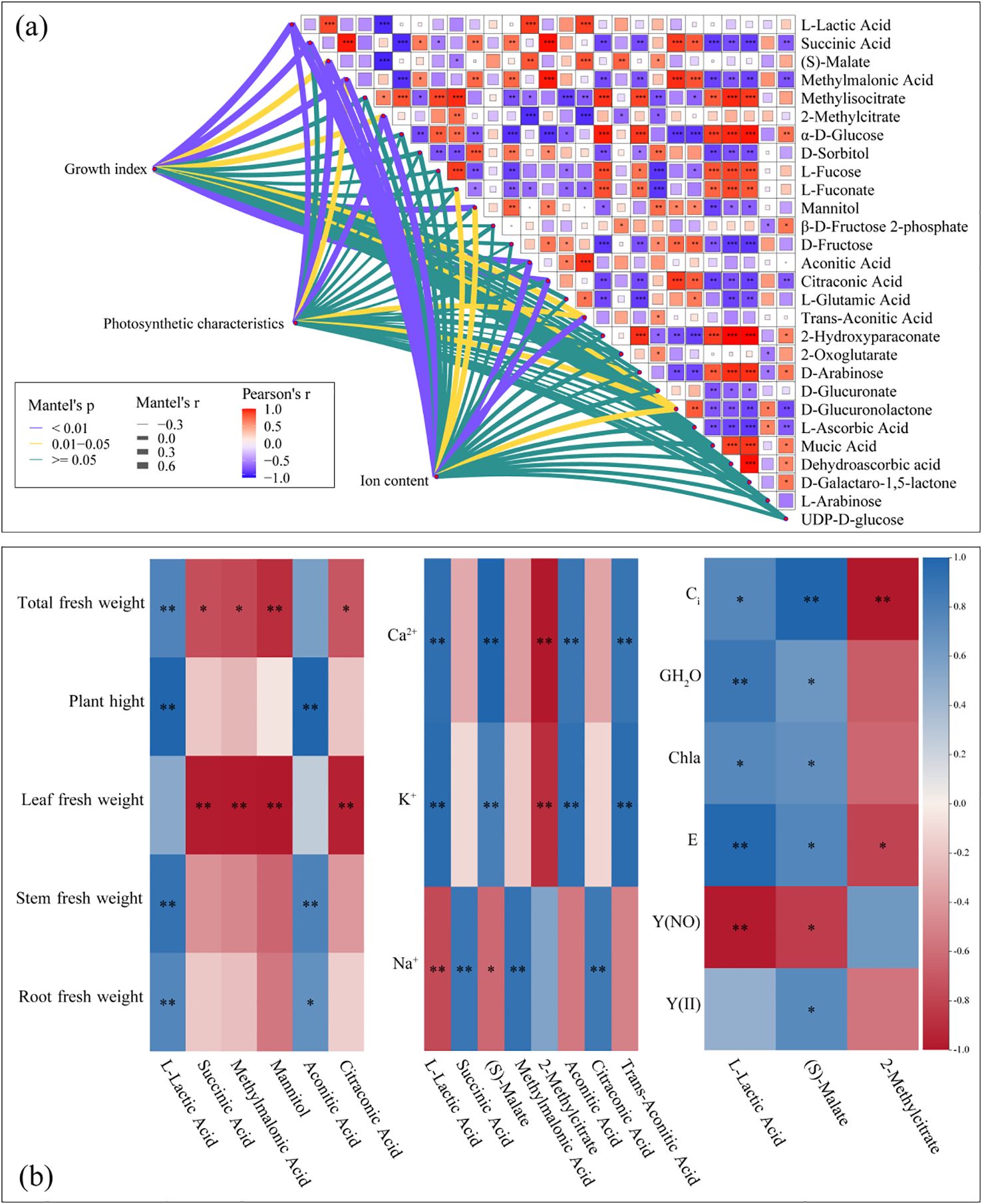 Diagram (a) displays a correlation matrix linking growth index, photosynthetic characteristics, and ion content with various acids. The heatmap features color-coded Pearson's correlation values. Diagram (b) shows heatmaps indicating relationships between several acids and variables like total fresh weight, plant height, and ion content, with color gradients representing correlation strength. The diagrams utilize a legend for Mantel's p and r values.