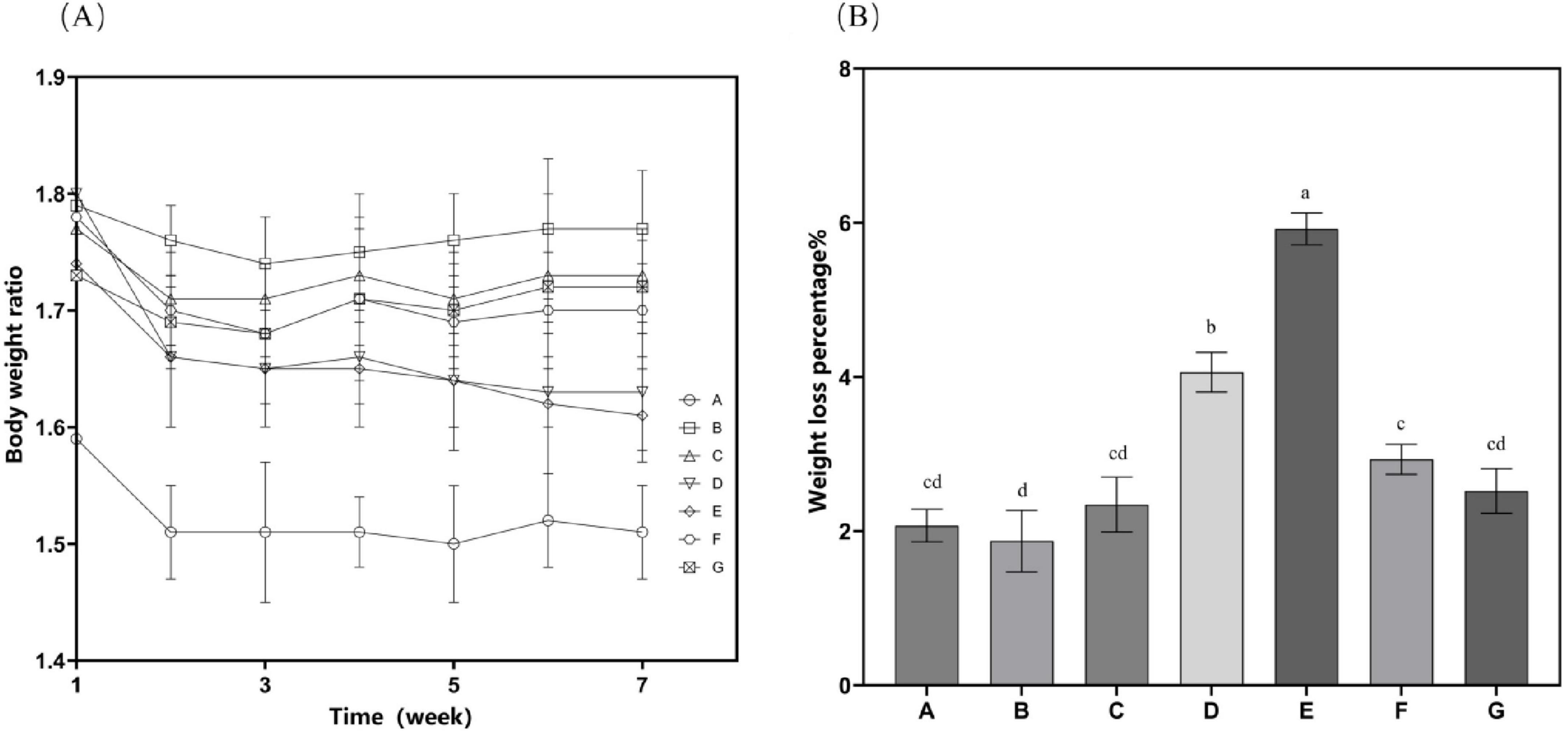 Chart A displays body weight ratios over 7 weeks for groups A to G, showing fluctuations. Chart B shows weight loss percentages for the same groups, with group E having the highest percentage.