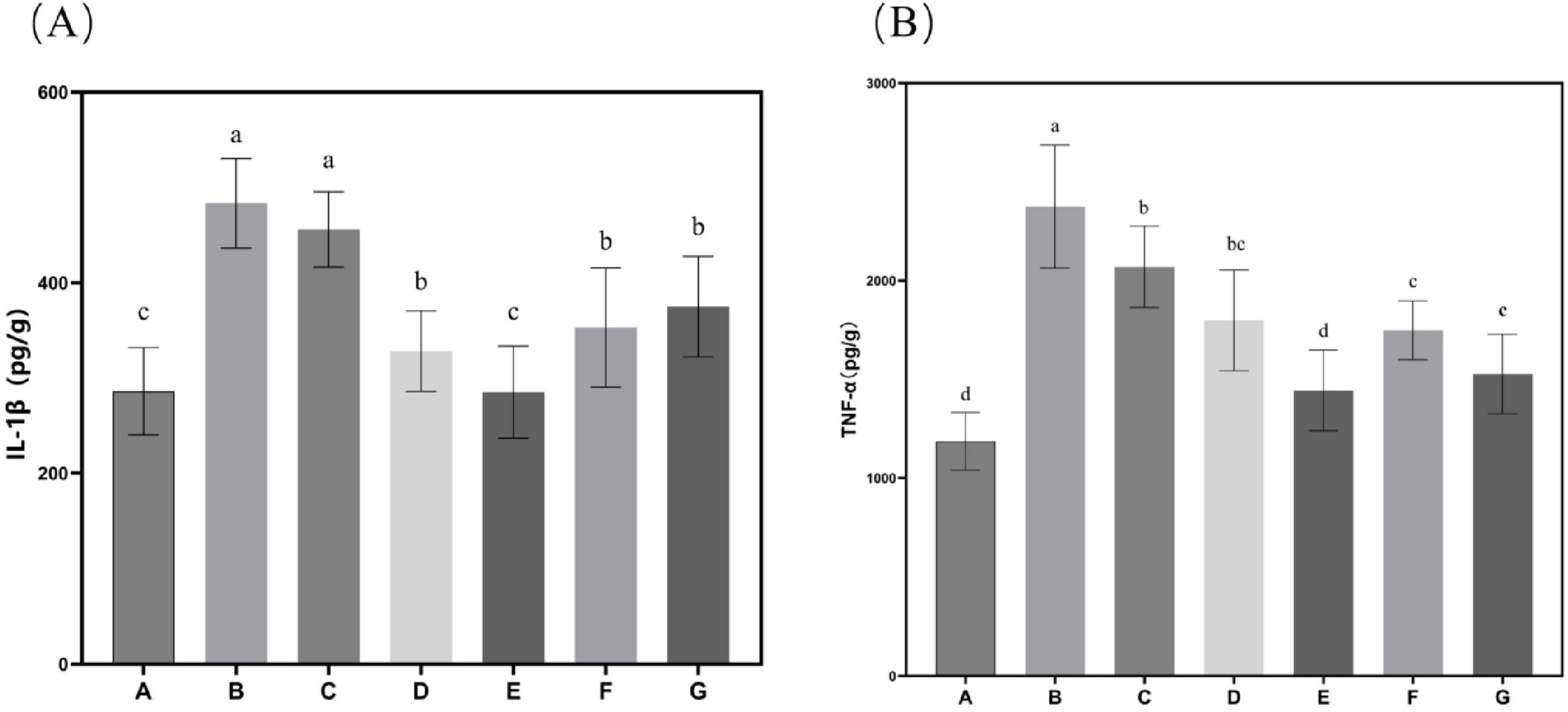 Bar charts labeled A and B display IL-1β and TNF-α levels respectively across groups A to G. In chart A, group B shows the highest IL-1β levels, while group A has the lowest. In chart B, group B also has the highest TNF-α levels, and group A the lowest. Error bars indicate variability, and groups are labeled with significance levels marked as a, b, c, d, and e.