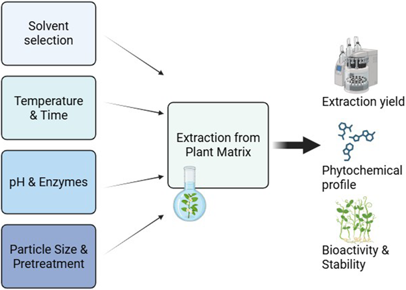Flowchart showing factors affecting plant extraction processes. Inputs include solvent selection, temperature and time, pH and enzymes, and particle size and pretreatment. These lead to extraction from the plant matrix. Outputs are extraction yield, phytochemical profile, and bioactivity and stability.