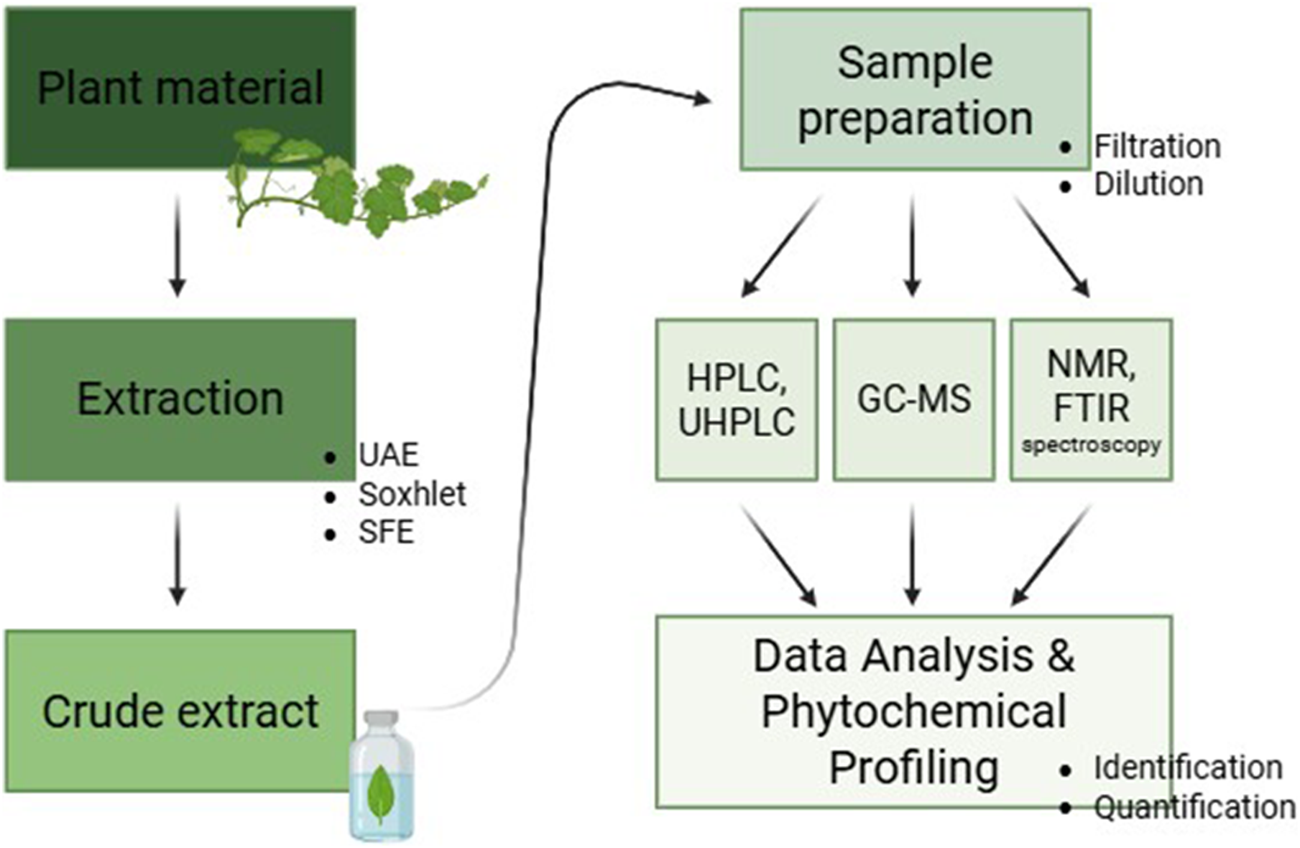 Flowchart depicting the process of extracting and analyzing phytochemicals from plant material. It starts with plant material, followed by extraction methods: UAE, Soxhlet, and SFE, resulting in a crude extract. Sample preparation involves filtration and dilution. Analytical techniques used are HPLC, UHPLC, GC-MS, NMR, and FTIR spectroscopy. Data analysis and phytochemical profiling lead to identification and quantification.