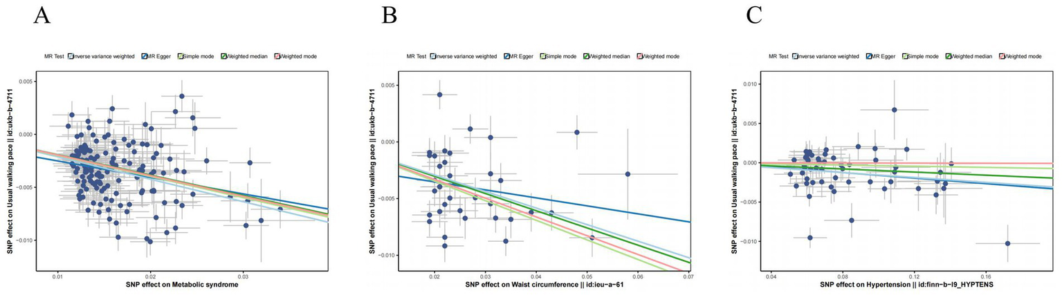Three scatter plots labeled A, B, and C show the relationship between SNP effects on various health conditions and SNP effects on usual walking pace. Plot A relates to metabolic syndrome, plot B to waist circumference, and plot C to hypertension. Each plot includes data points with error bars and five regression lines representing different Mendelian Randomization methods: Inverse variance weighted, MR Egger, Simple mode, Weighted median, and Weighted mode. The x-axis represents the SNP effect on a specific health condition, while the y-axis represents the SNP effect on walking pace.