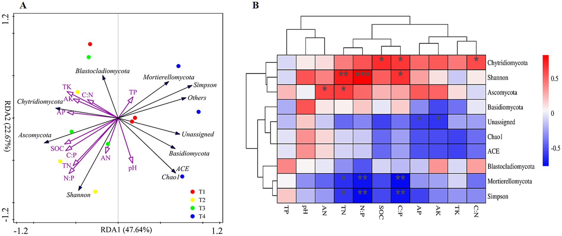 Panel A shows a redundancy analysis (RDA) biplot, displaying relationships between fungal communities and environmental variables. Points represent treatments (T1, T2, T3, T4) in different colors. Vectors indicate the influence of environmental factors like pH and nutrient ratios on fungal taxa. Panel B displays a heat map with hierarchical clustering, illustrating associations between soil properties and fungal diversity. Colors range from red to blue, indicating positive to negative correlations. Asterisks denote significant relationships.