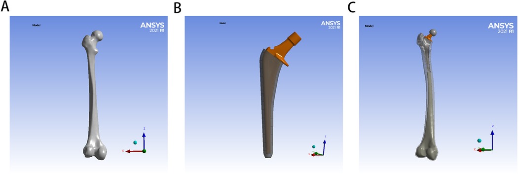 Three panels labeled A, B, and C display 3D models in ANSYS 2021 R1 software. Panel A shows a femur bone. Panel B depicts a femoral implant. Panel C illustrates the implant integrated with the femur. Three-axis indicators are present in each panel.
