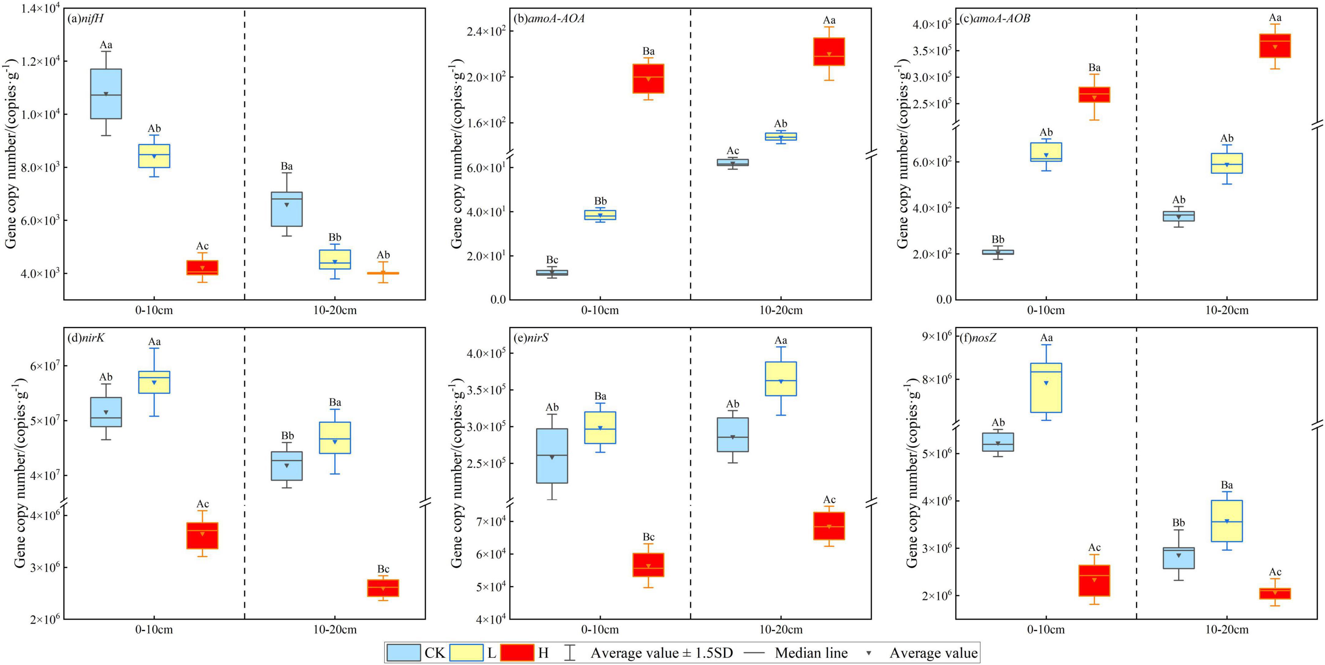Six box plots compare gene copy numbers (copies per gram) for different soil depths (0–10 cm and 10–20 cm) and treatments: CK, L, and H. Plots are labeled (a) nifH, (b) amoA-AOA, (c) amoA-AOB, (d) nirK, (e) nirS, and (f) nosZ. Each plot displays median lines and average values. The chart legend indicates treatments and statistical significance is noted by letters above the boxes.