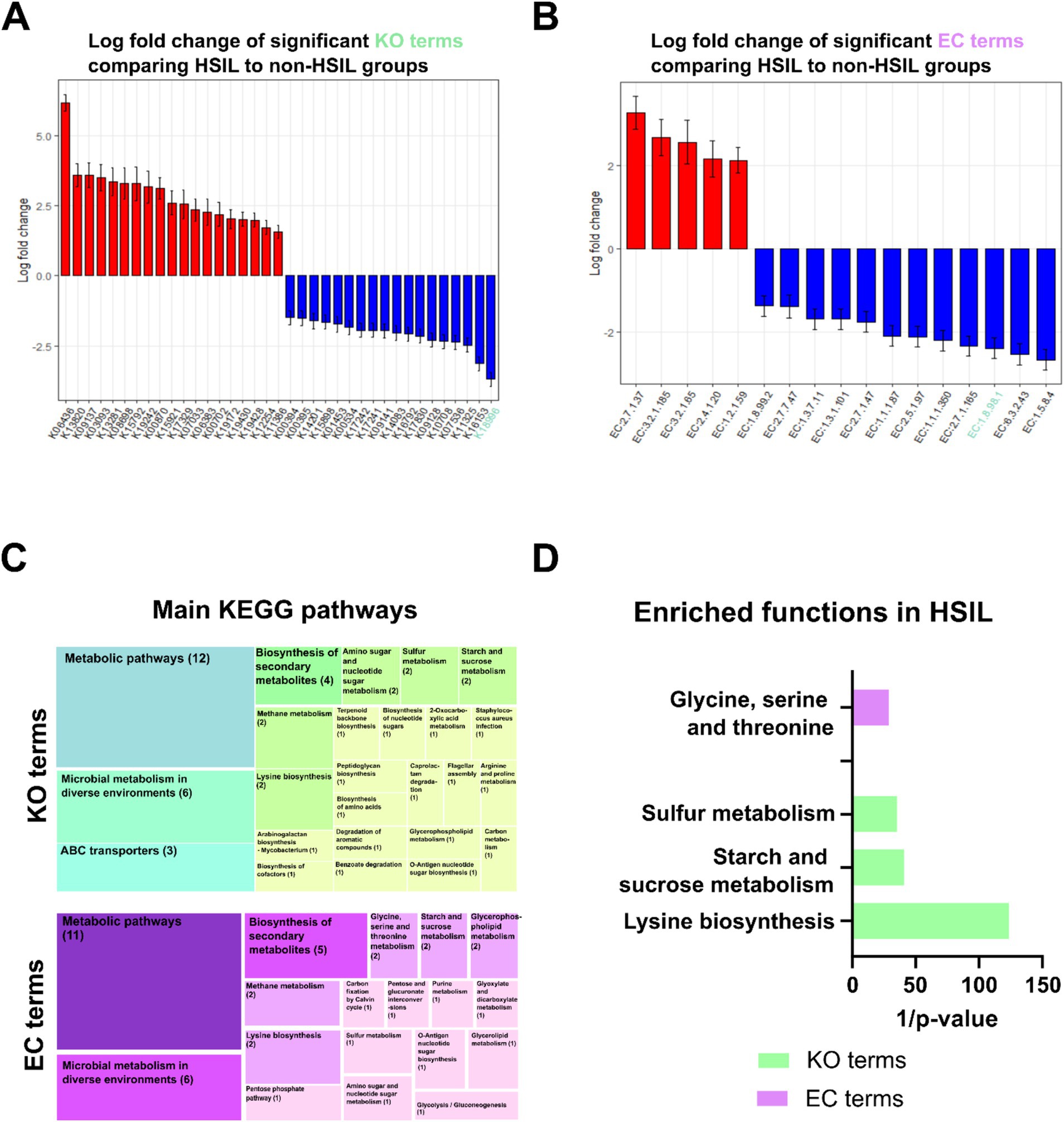 Bar charts and diagrams showing data comparisons between HSIL and non-HSIL groups. Chart A displays significant KO terms, with red bars indicating positive log fold changes and blue negative. Chart B shows significant EC terms, similarly color-coded. Diagram C outlines main KEGG pathways, divided into KO and EC terms, highlighting metabolic pathways and biosynthesis. Chart D visualizes enriched functions in HSIL, with bars for glycine, sulfur, starch, and lysine biosynthesis colored by term type.