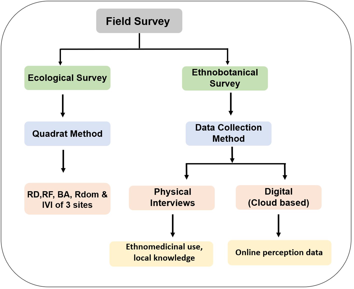 Flowchart showing a field survey process divided into two main branches: Ecological Survey and Ethnobotanical Survey. The Ecological Survey uses the Quadrat Method, resulting in RD, RF, BA, Rdom, and IVI of three sites. The Ethnobotanical Survey involves a Data Collection Method, split into Physical Interviews and Digital (Cloud-based) approaches. Physical Interviews gather ethnomedicinal use and local knowledge, while the Digital approach collects online perception data.