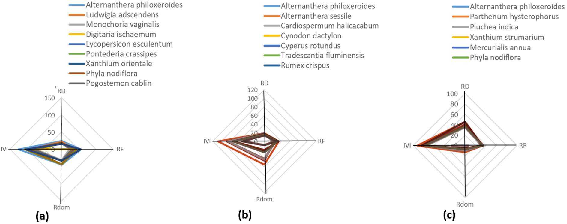 Three radar charts labeled (a), (b), and (c) compare plant species based on IVI, RD, RF, and Rdom. Each chart uses lines colored according to species names, such as Alternanthera philoxeroides. The charts show varying dominance and distribution metrics for each species.