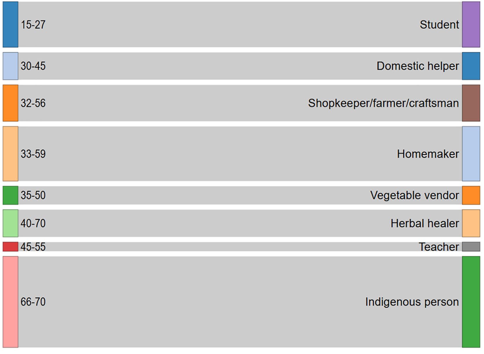 Bar chart listing age ranges and corresponding occupations. Student: 15-27, Domestic helper: 30-45, Shopkeeper/farmer/craftsman: 32-56, Homemaker: 33-59, Vegetable vendor: 35-50, Herbal healer: 40-70, Teacher: 45-55, Indigenous person: 66-70. Each occupation is color-coded.