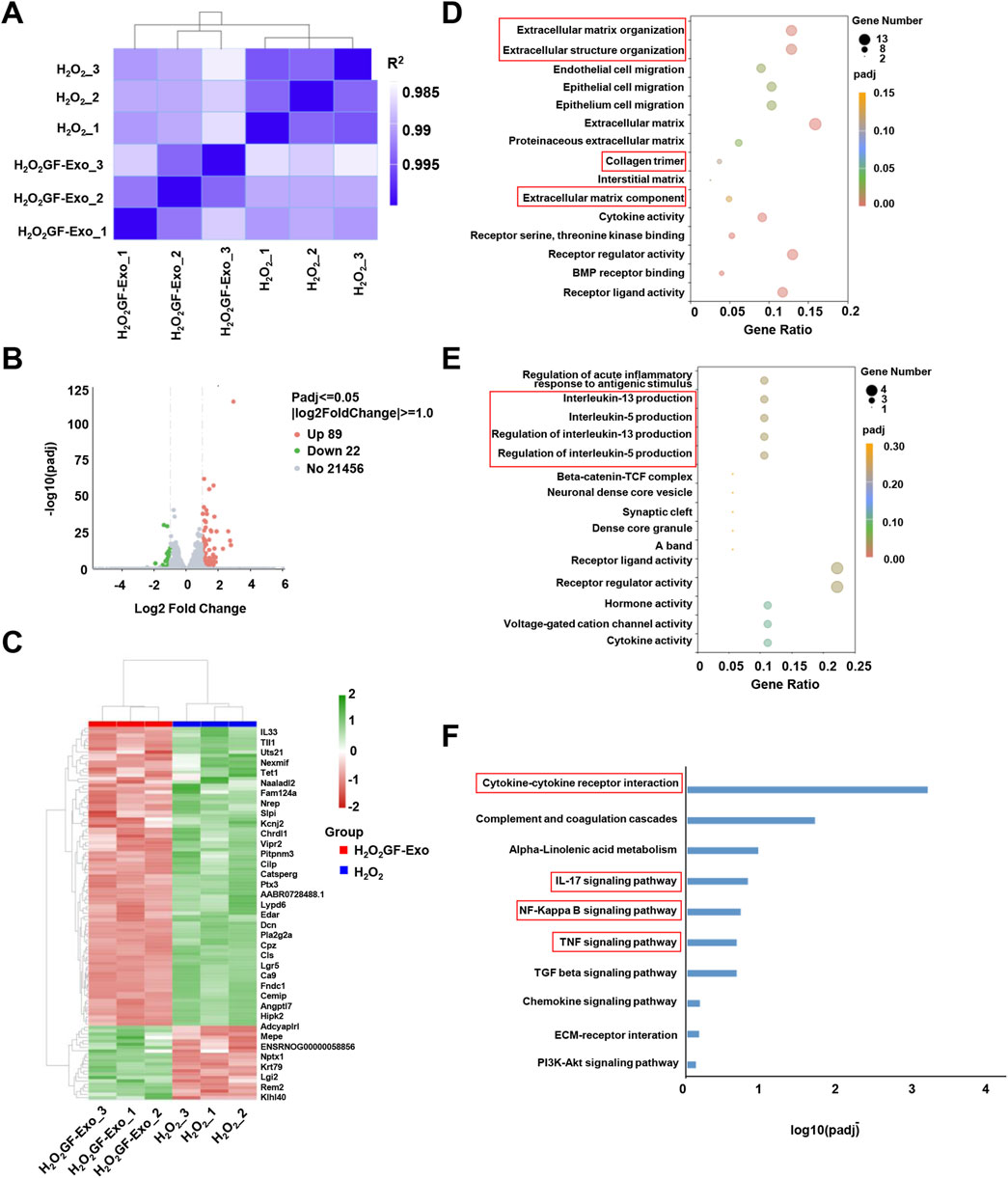 Composite image displaying multiple analyses. A: Heatmap showing expression levels across samples, with a gradient from purple to blue. B: Volcano plot indicating differentially expressed genes; significant changes are highlighted. C: Clustered heatmap comparing two groups with a gradient ranging from red to green. D and E: Dot plots displaying gene ratios and significance (padj) for various biological processes, with dot sizes indicating gene numbers. F: Bar chart depicting signaling pathways, highlighting log10(padj) values.Key pathways and processes are outlined in red boxes.
