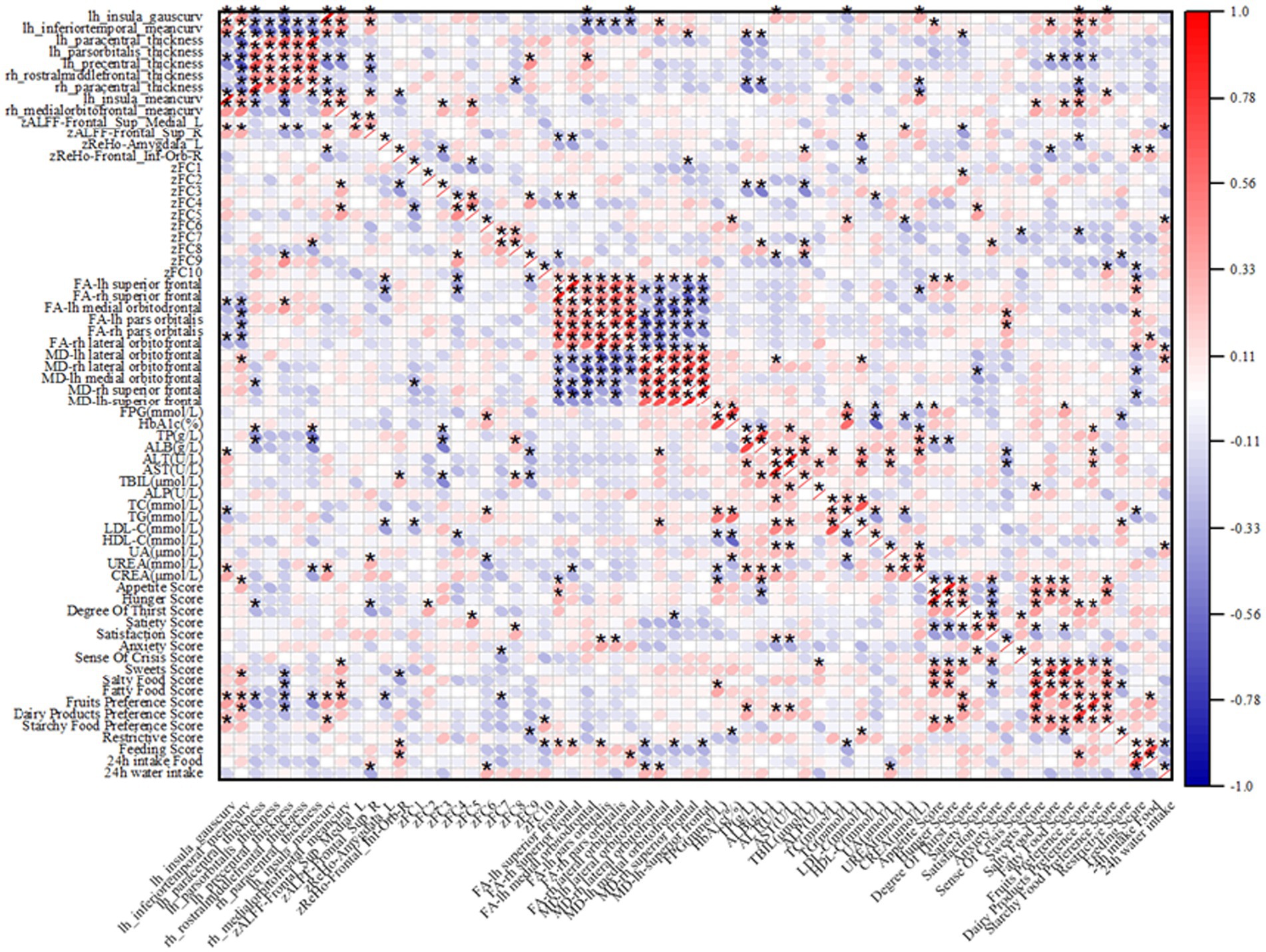 Heatmap depicting correlations among various brain, blood, and diet-related variables. The matrix uses colors ranging from blue to red, signifying negative to positive correlations. Axes list variables such as brain regions, biochemical markers, and dietary scores. A color gradient key on the right shows correlation values from negative one to one.
