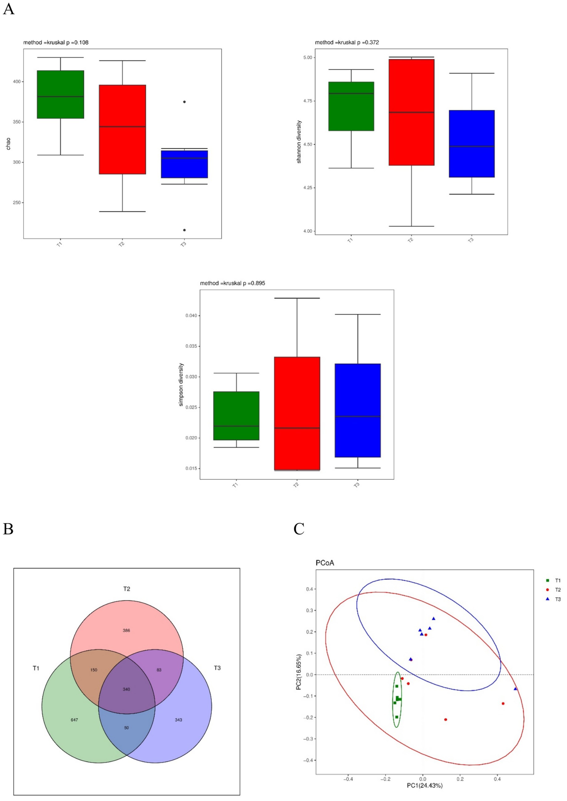 Panel A shows three box plots comparing metrics (chao, shannon diversity, simpson diversity) for T1, T2, and T3, all with non-significant Kruskal-Wallis p-values. Panel B is a Venn diagram showing overlap among T1, T2, and T3 with specific numbers in each section, indicating shared and unique elements. Panel C presents a Principal Coordinates Analysis (PCoA) plot, displaying three groups (T1, T2, T3) with distinct clusters, based on two principal coordinates, PC1 and PC2.