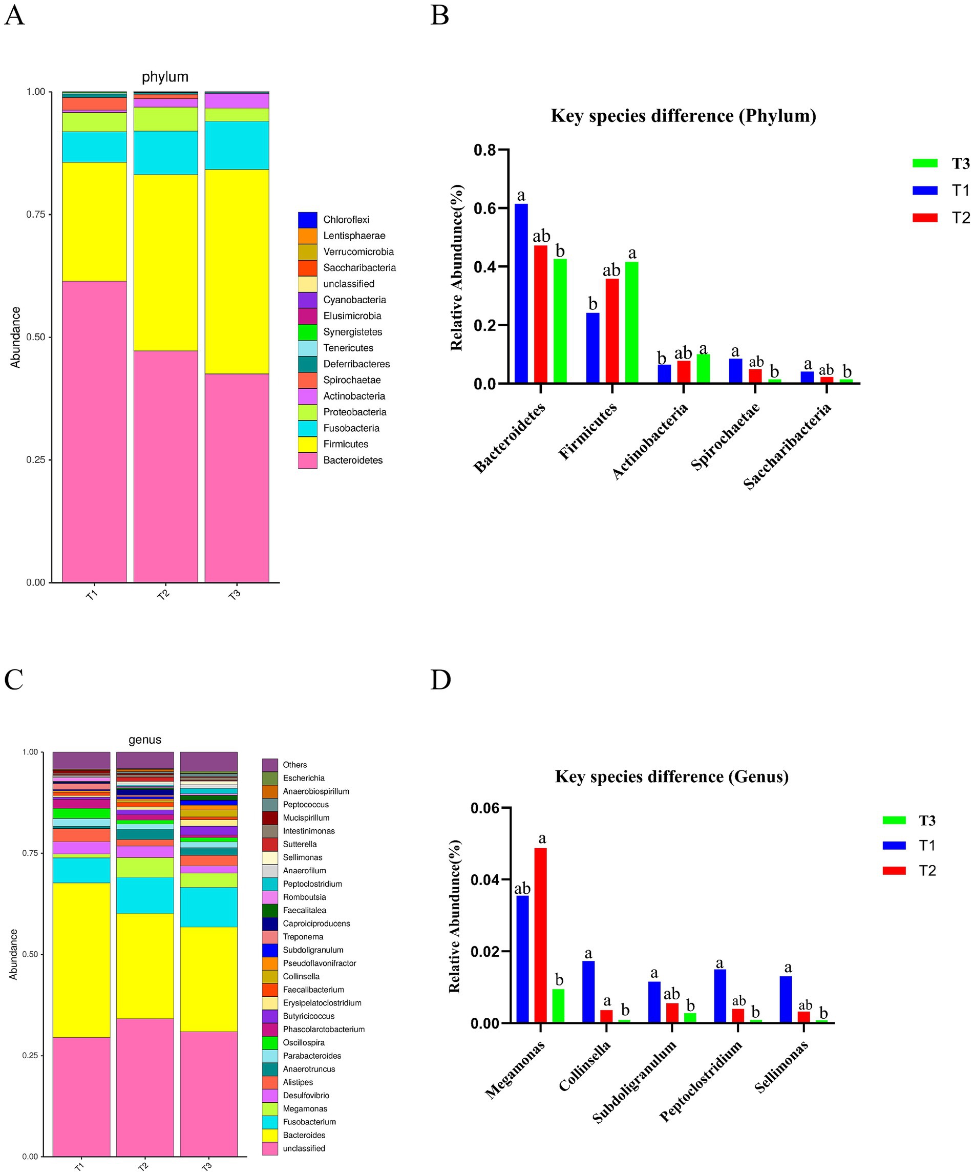 Four-panel image showing bacterial abundance data. Panel A: Bar chart of bacterial phylum abundance across T1, T2, T3, with Bacteroidetes and Firmicutes as major groups. Panel B: Bar chart of key phylum species differences with varying relative abundances. Panel C: Bar chart of bacterial genus abundance across T1, T2, T3, with unclassified and Megamonas groups notable. Panel D: Bar chart of key genus species differences with differing relative abundances across samples T1, T2, T3.
