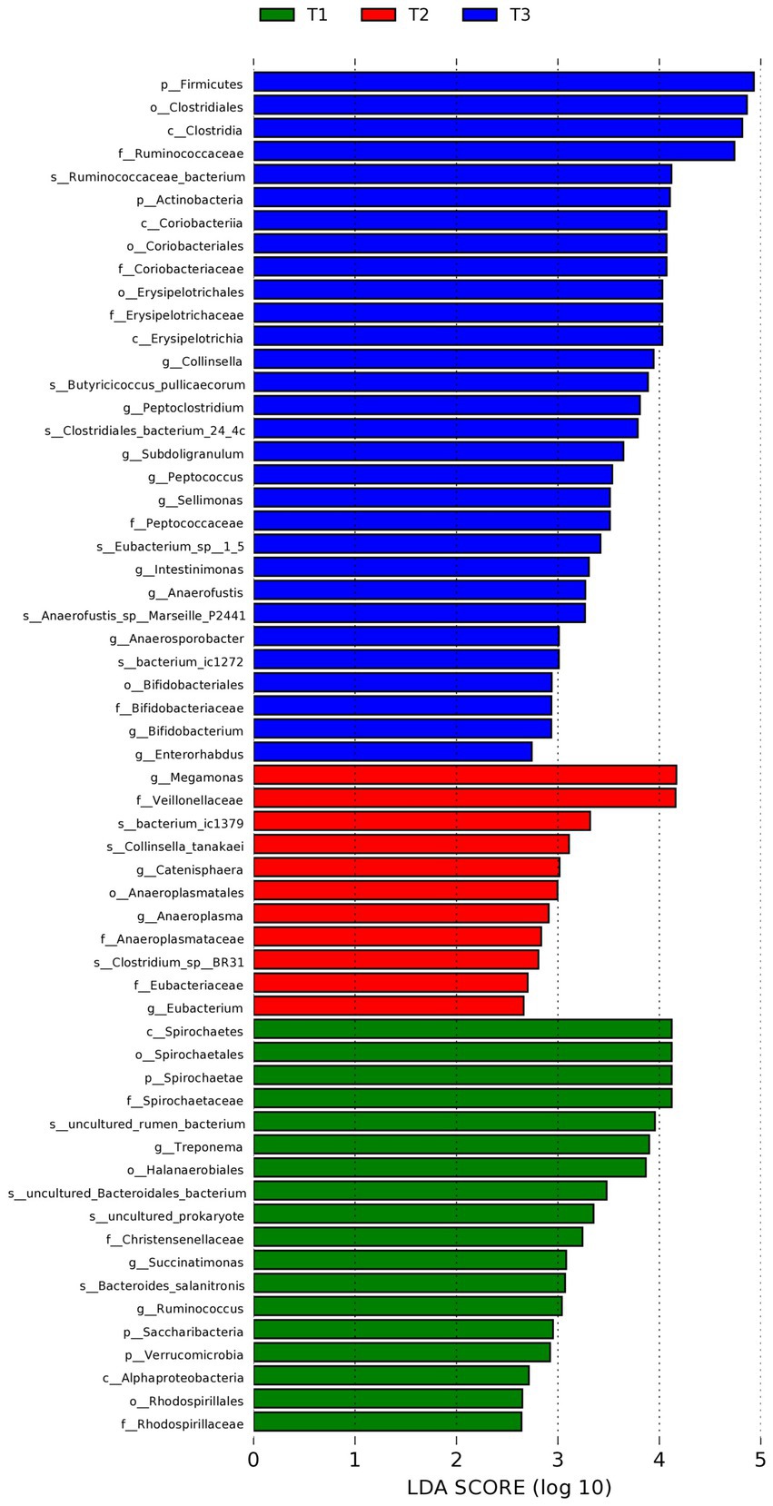Bar chart showing bacterial taxa distinguished by LDA score across three groups: T1 (green), T2 (red), and T3 (blue). T3 taxa have highest scores, dominated by Firmicutes and Actinobacteria. T1 and T2 exhibit lower scores across various taxa.
