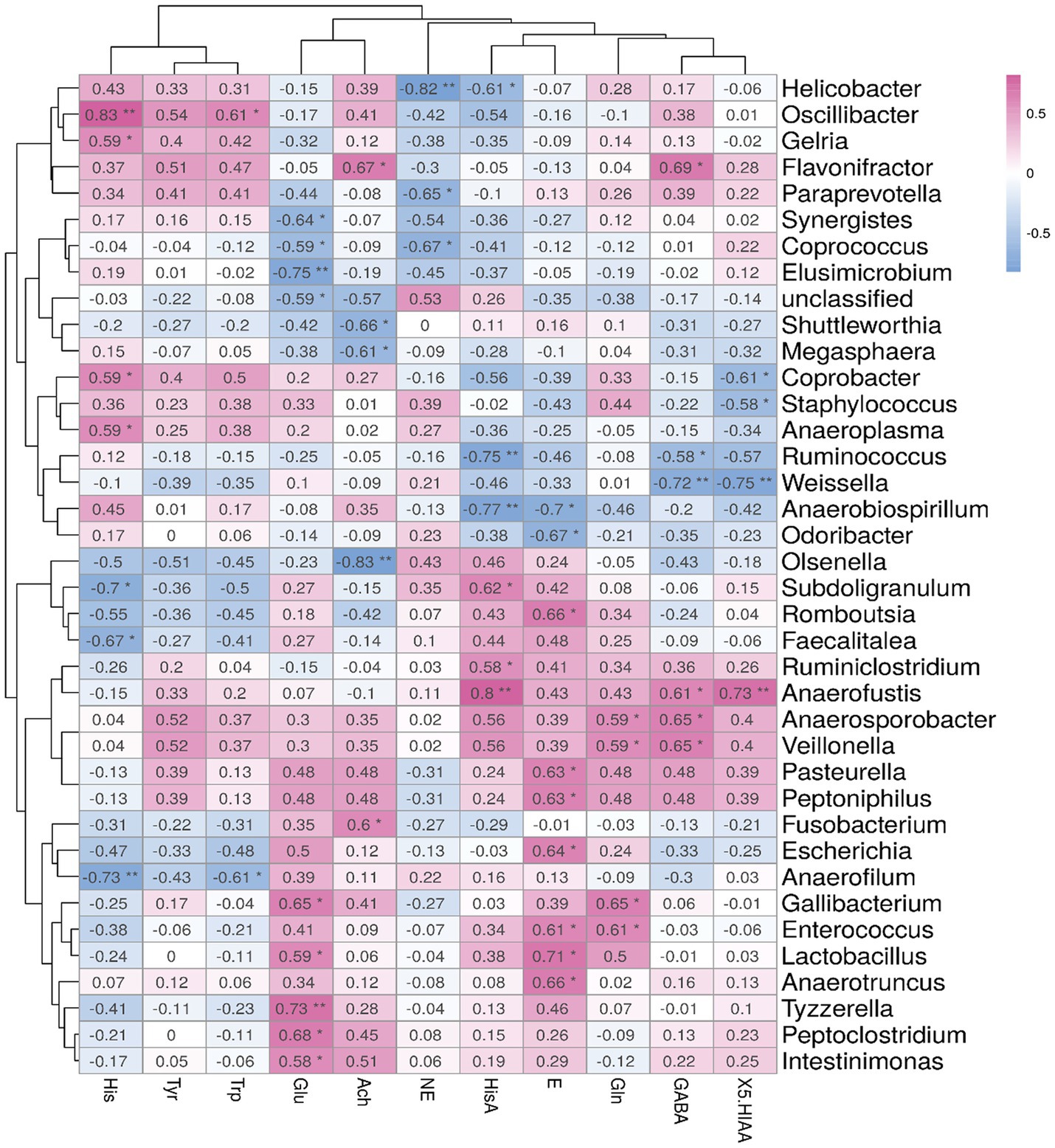Heatmap showing hierarchical clustering of bacterial genera with neurotransmitter correlations. Genera are listed vertically, neurotransmitters horizontally. Colors range from blue (negative correlation) to red (positive correlation). Dendrograms indicate clustering relationships.