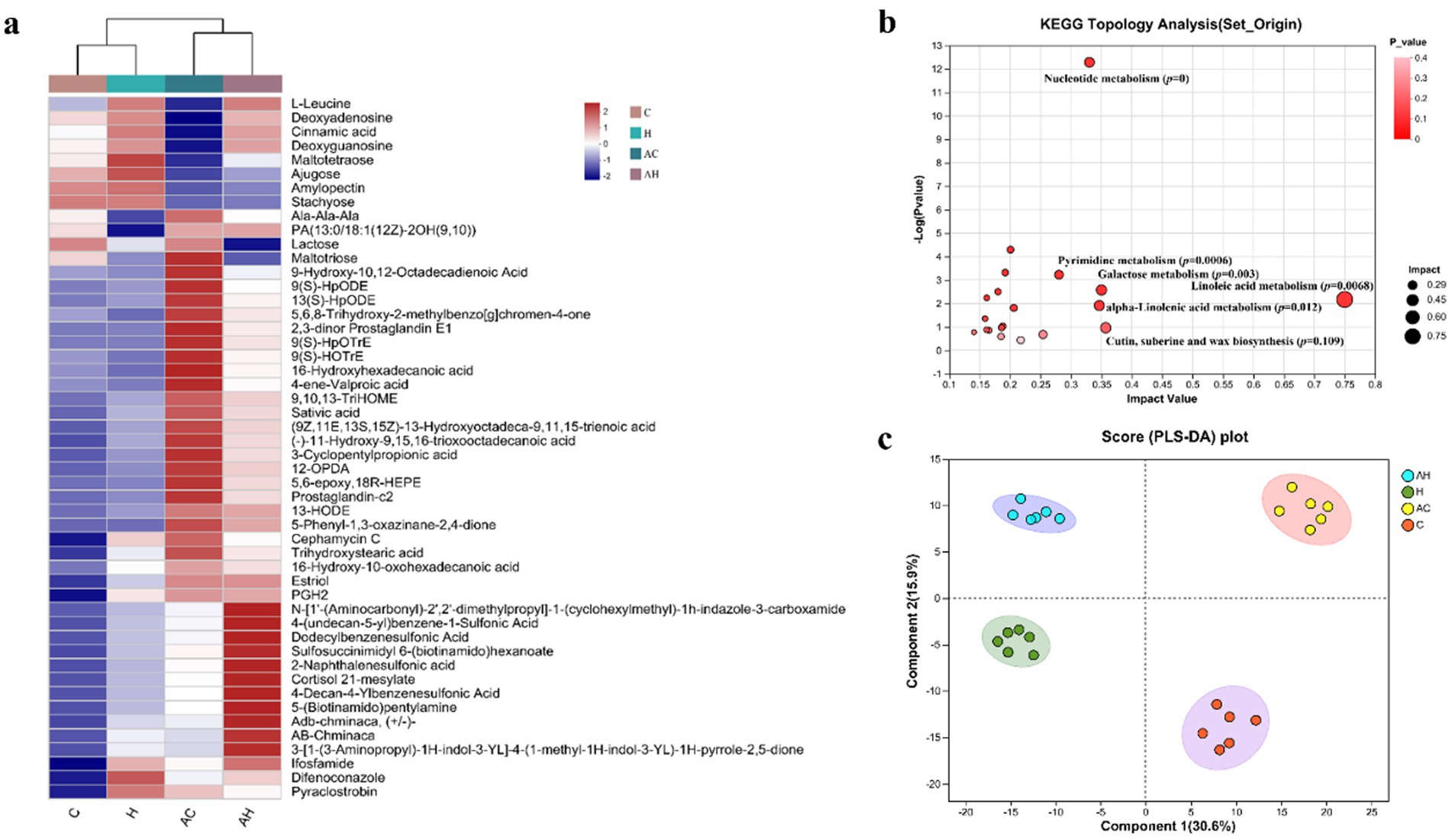 Panel a shows a clustered heatmap indicating metabolite concentrations, with a color gradient from blue to red signifying lower to higher levels. Panel b is a KEGG topology analysis scatter plot showing the impact of various metabolic pathways, with larger, darker red circles indicating higher impact and significance. Panel c is a PLS-DA score plot displaying clustering of different groups (AH, H, AC, C) in distinct colored ellipses, illustrating separation based on components one and two.