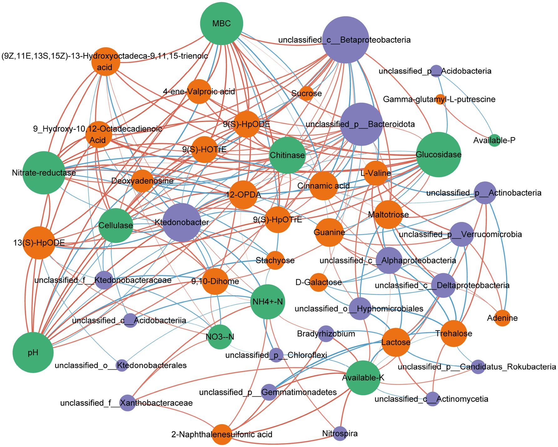 Network diagram showing interactions between various microbial taxa (purple and blue circles) and metabolites (orange circles). Larger green circles indicate environmental factors such as MBC, pH, and nutrients like NH4-N. Red and blue lines depict positive and negative associations, respectively.
