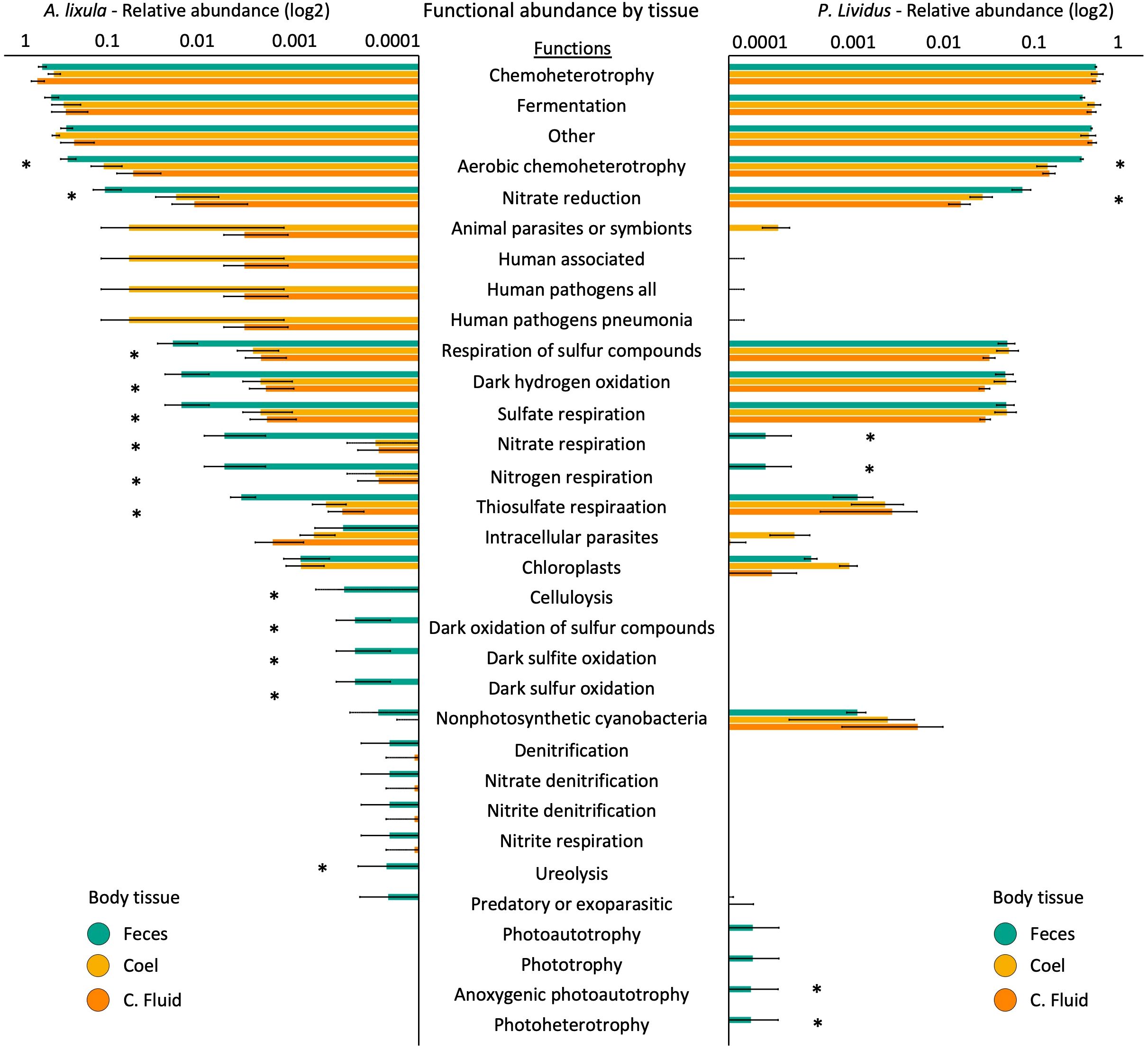 Bar chart showing the functional abundance by tissue for *A. lixula* and *P. lividus*. The x-axis represents relative abundance on a logarithmic scale, and the y-axis lists various functions like chemoheterotrophy, fermentation, and nitrate reduction. Three colors represent body tissues: feces (green), coelomic fluid (orange), and C. fluid (yellow). The chart includes significant differences marked with asterisks.