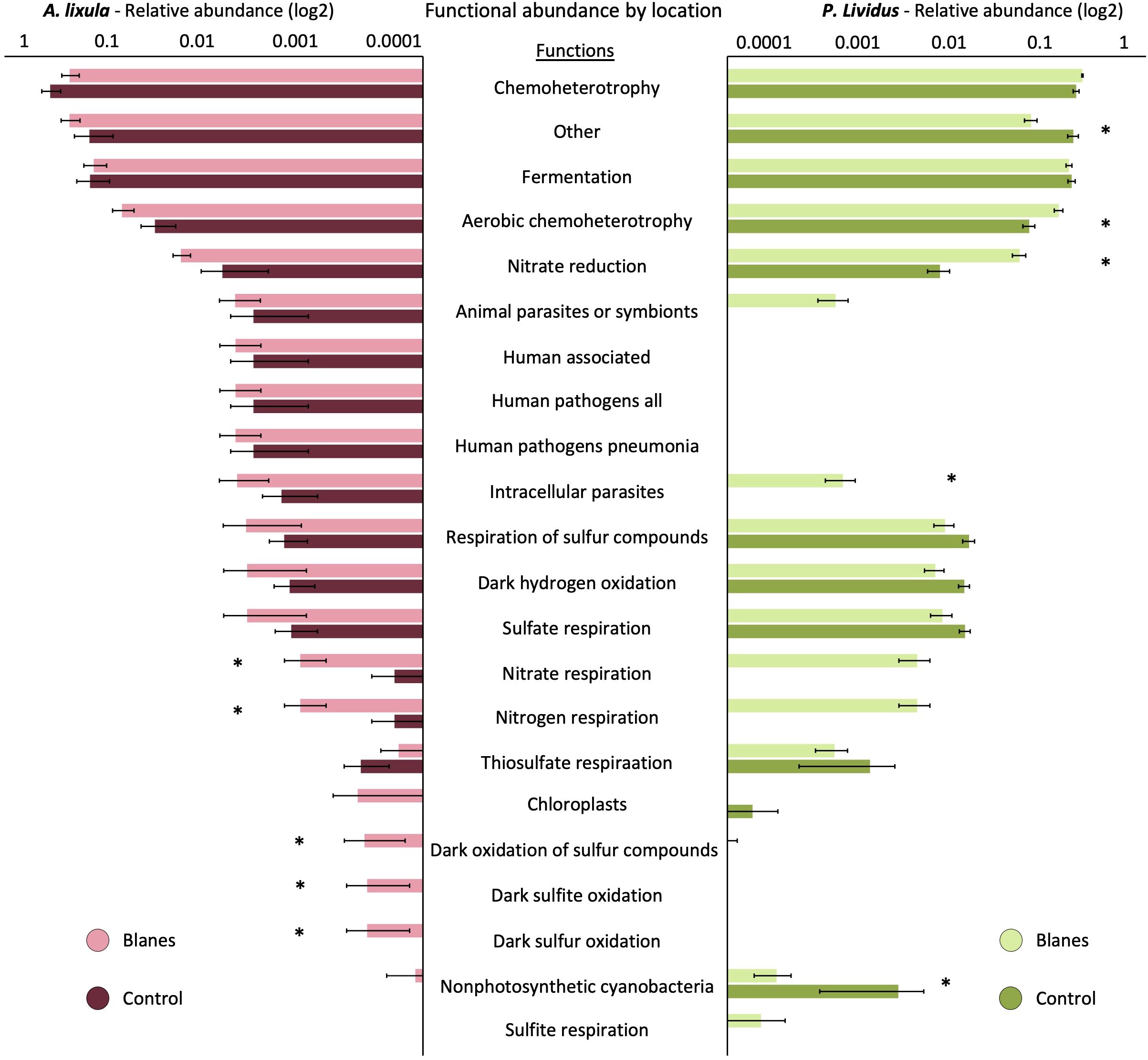 Bar chart comparing the relative abundance of various functional traits in two sea urchin species, *A. lixula* and *P. lividus*. The chart is divided into two sections, with each representing a species. Different functions, such as chemoheterotrophy and fermentation, are plotted on the y-axis, with the relative abundance (log2 scale) on the x-axis. Data is color-coded for Blanes and Control groups, with Blanes in light pink or green and Control in dark shades. Error bars indicate variability, and asterisks denote significant differences.